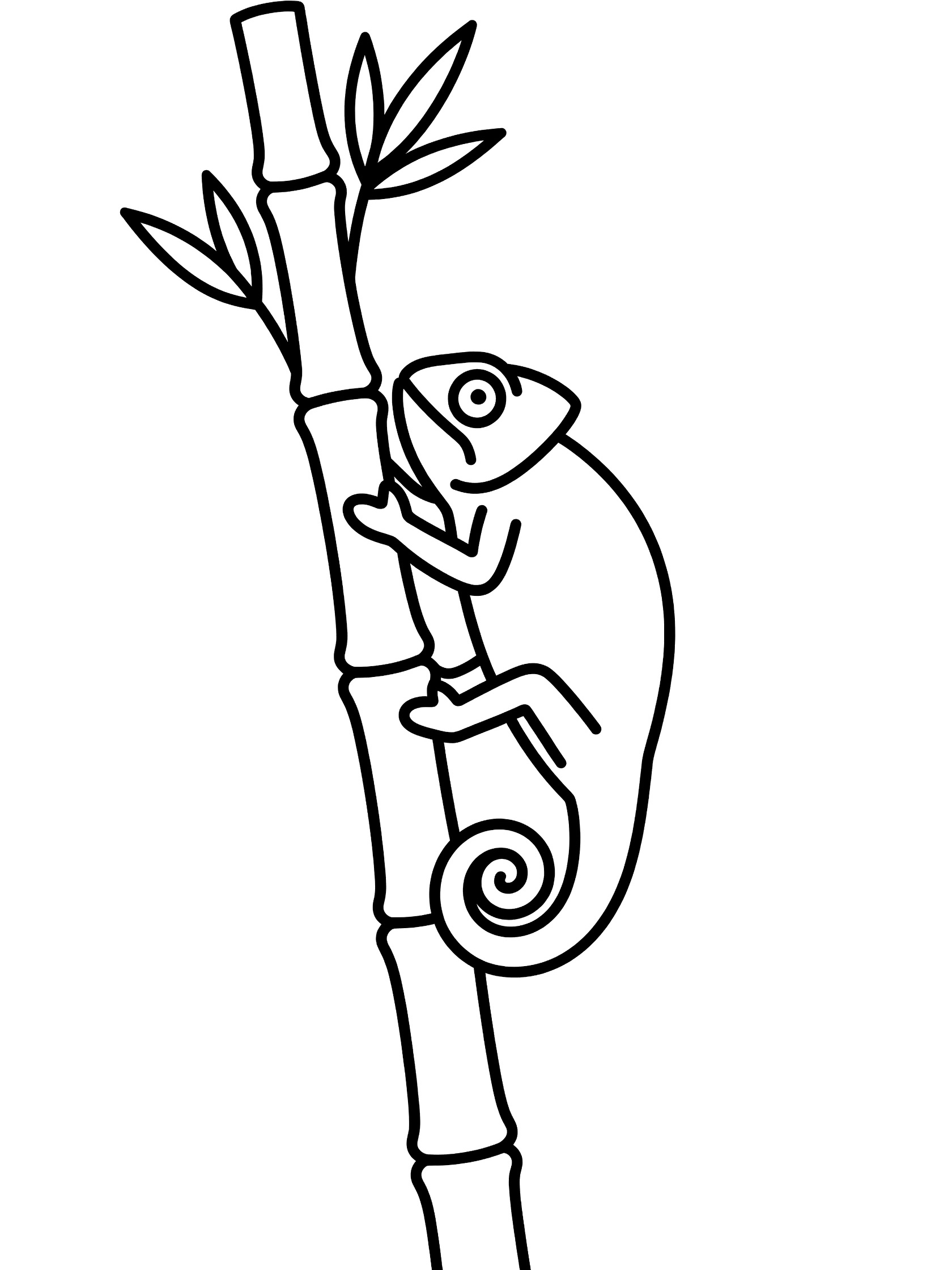 Black and white line art coloring page showing a chameleon wrapped around a tall bamboo stalk with leaves on top.