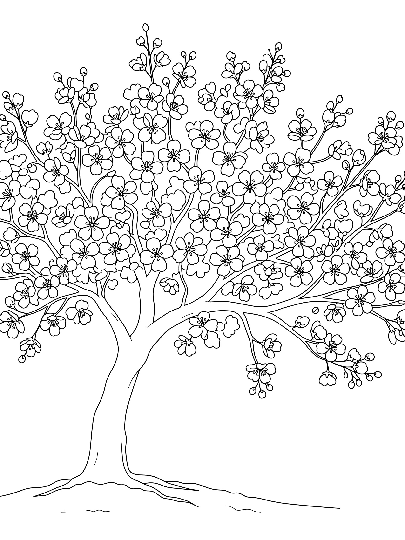 Black and white line art of a cherry blossom tree with full branches of flowers, curved trunk, and roots in the ground. Apple Tree themed black and white printable line art