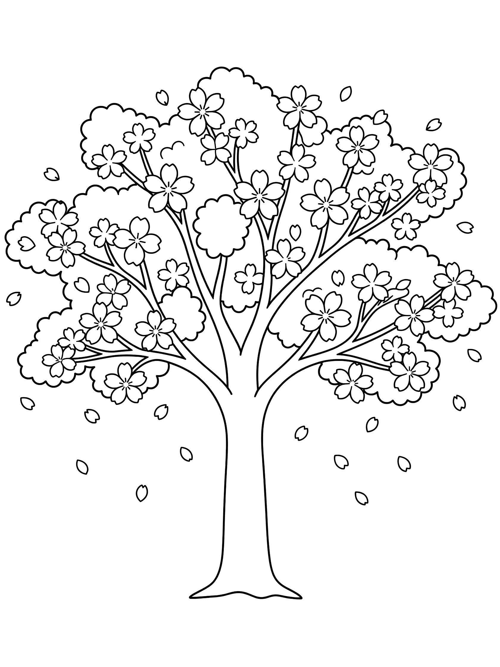Black and white line art of a cherry blossom tree with thick trunk, wide branches covered in flower clusters, and petals falling around the base.