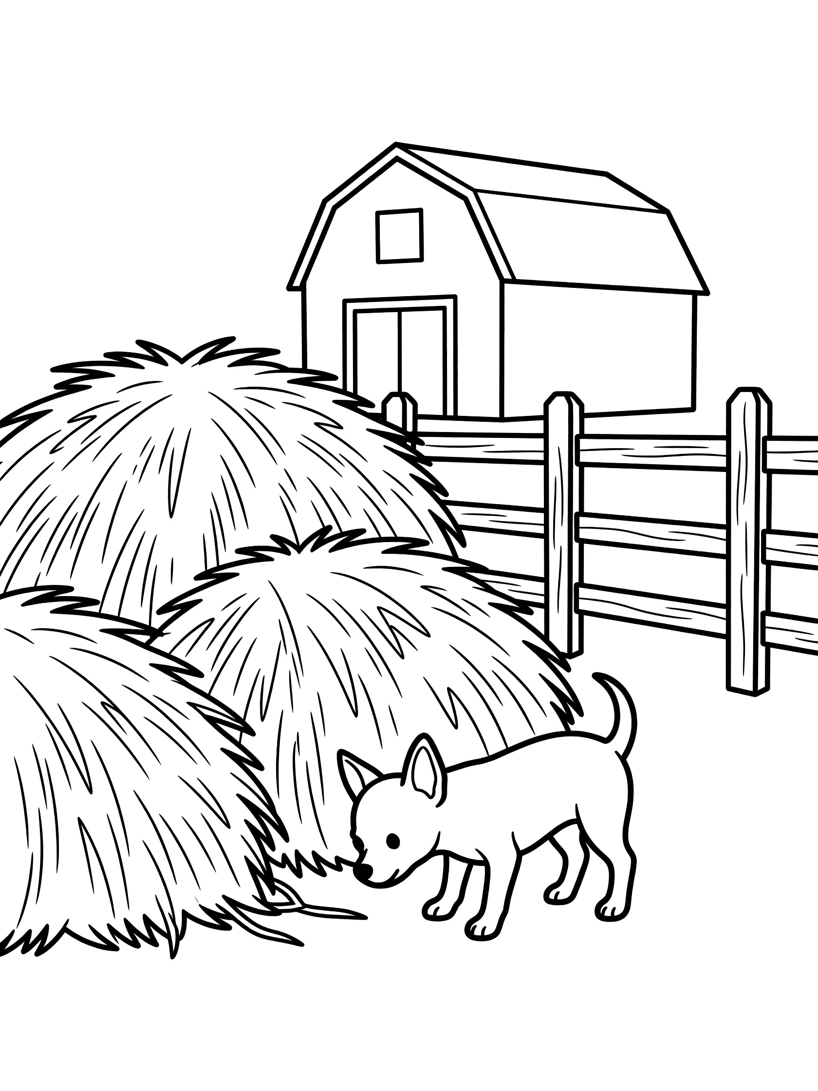Black and white line art coloring page showing a small Chihuahua dog with pointy ears sniffing around stacked hay bales, wooden fence, and barn in background.