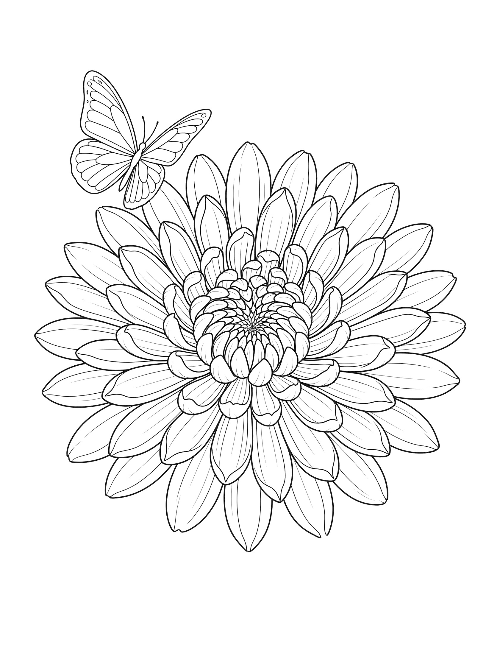 Black and white line art of a large symmetrical chrysanthemum flower with detailed petals and a butterfly perched on one petal with wings spread wide, coloring book style.