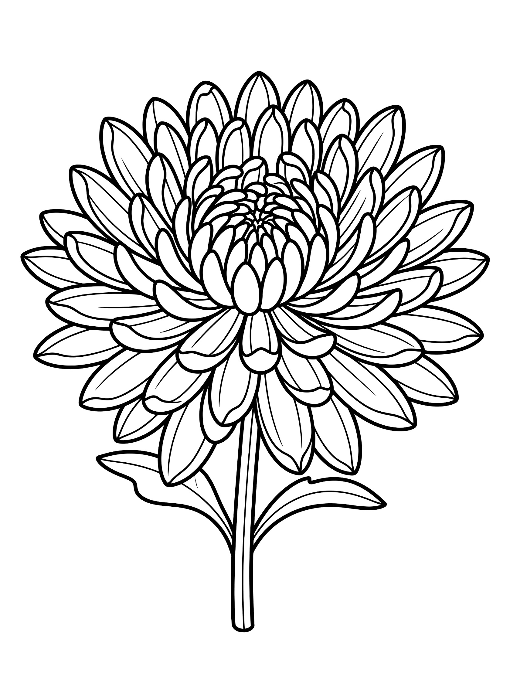 Black and white line art of a large chrysanthemum flower in full bloom on a stem with leaves, coloring book style.
