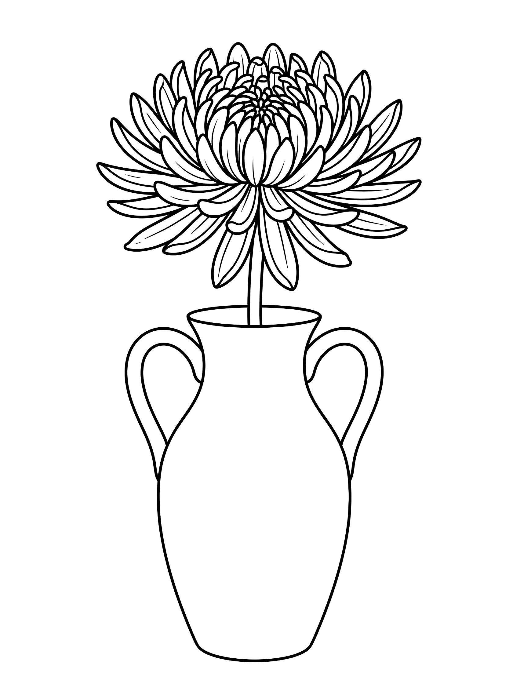 Black and white line drawing of a large chrysanthemum flower with many petals on a stem in a simple tall vase with curved handles