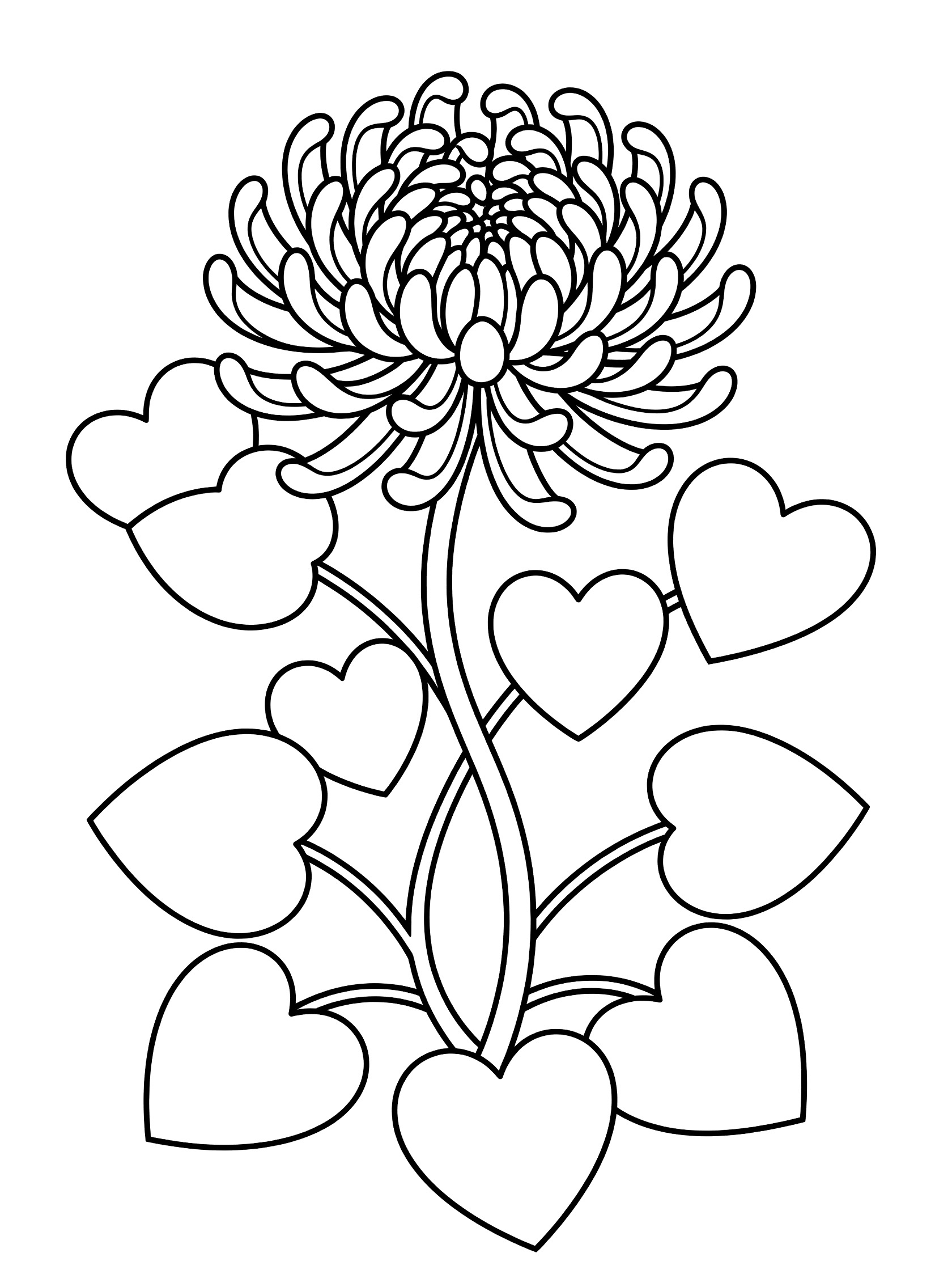 Black and white line art coloring page showing a chrysanthemum flower with curly petals atop a stem surrounded by multiple heart-shaped leaves