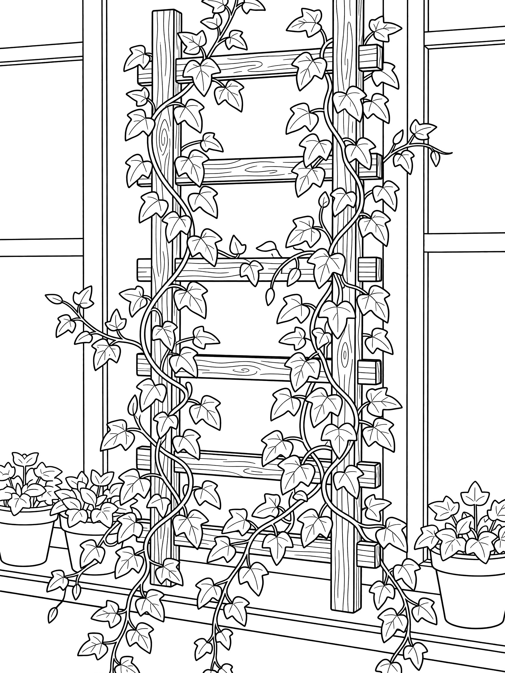 Black and white line art of English ivy climbing a tall wooden trellis in a window, with vines, leaves, and pots on a sill.