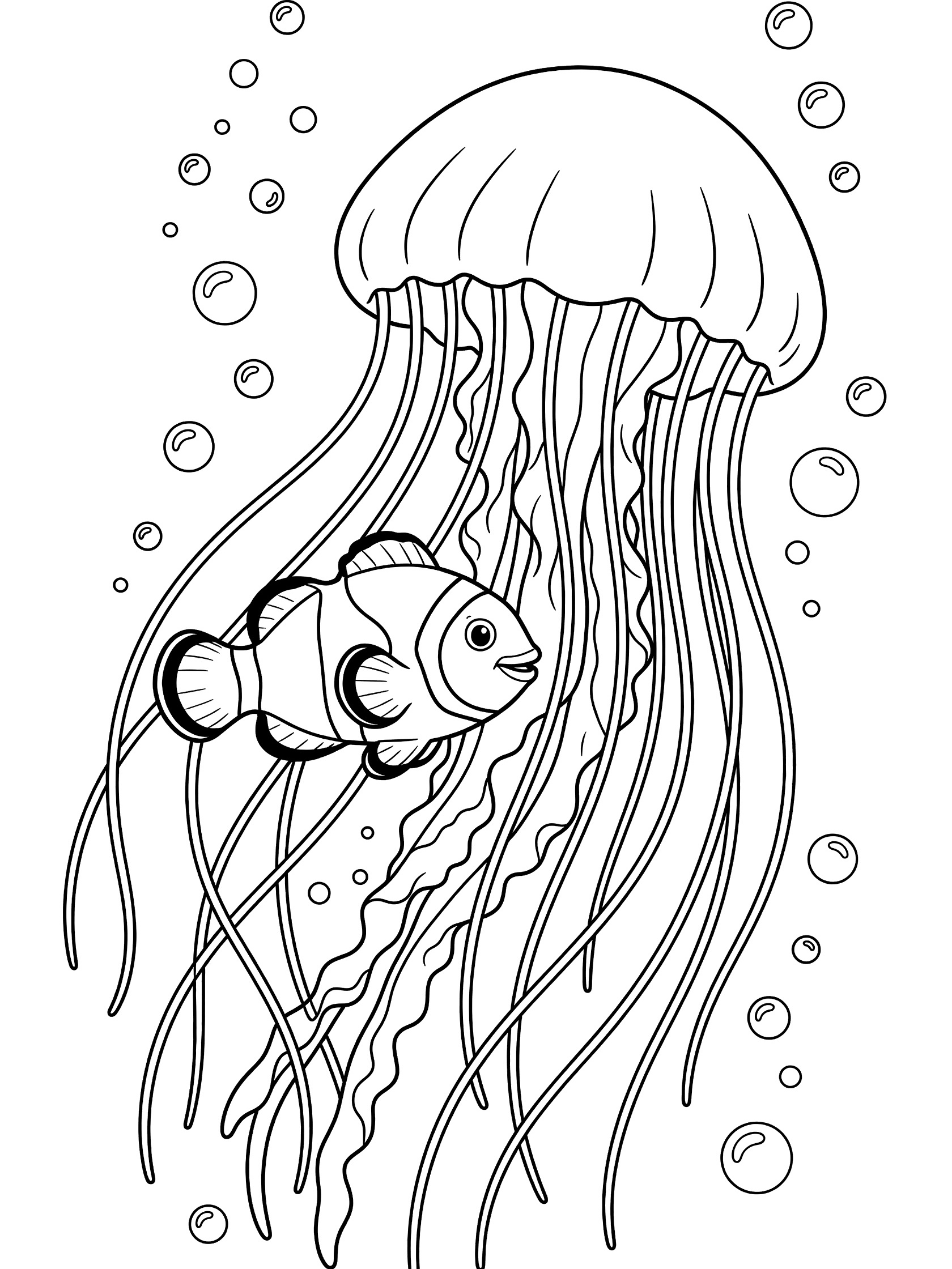 Printable coloring page showing a clownfish near a bell-shaped jellyfish with trailing tentacles and bubbles in clean line art.
