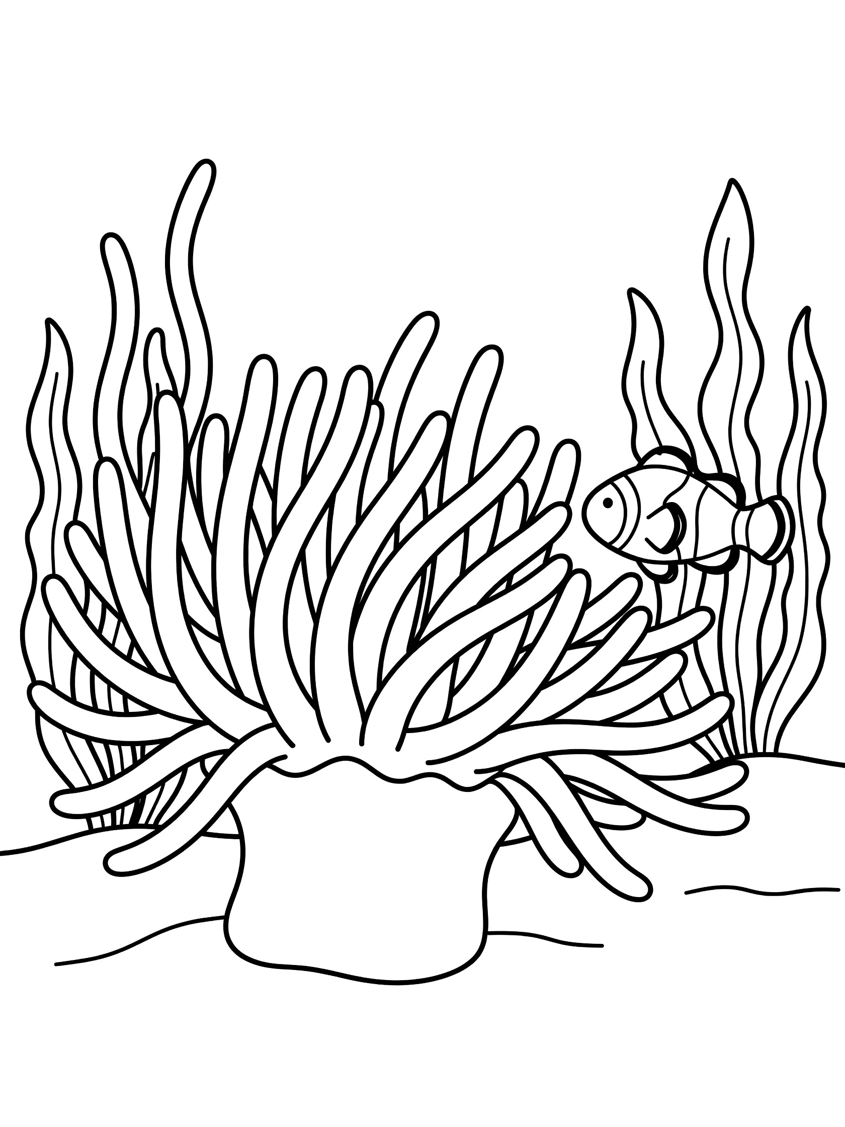 Black and white line art coloring page showing a sea anemone with long tentacles, a clownfish swimming close by, seaweed in the background, and sandy seabed.