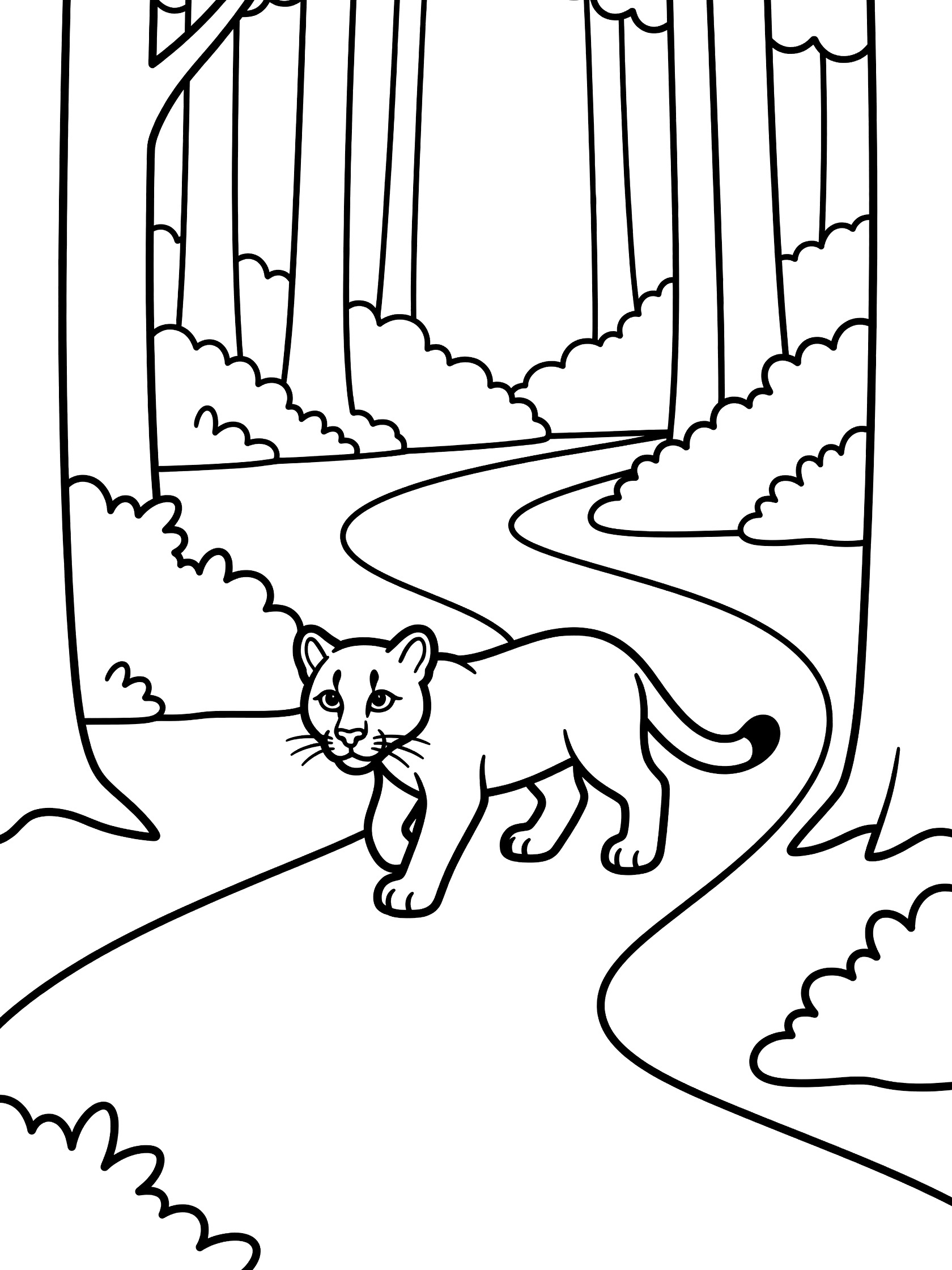 Black and white line art coloring page showing a cougar cub prowling on a winding forest path surrounded by trees and bushes. Puma themed black and white printable line art