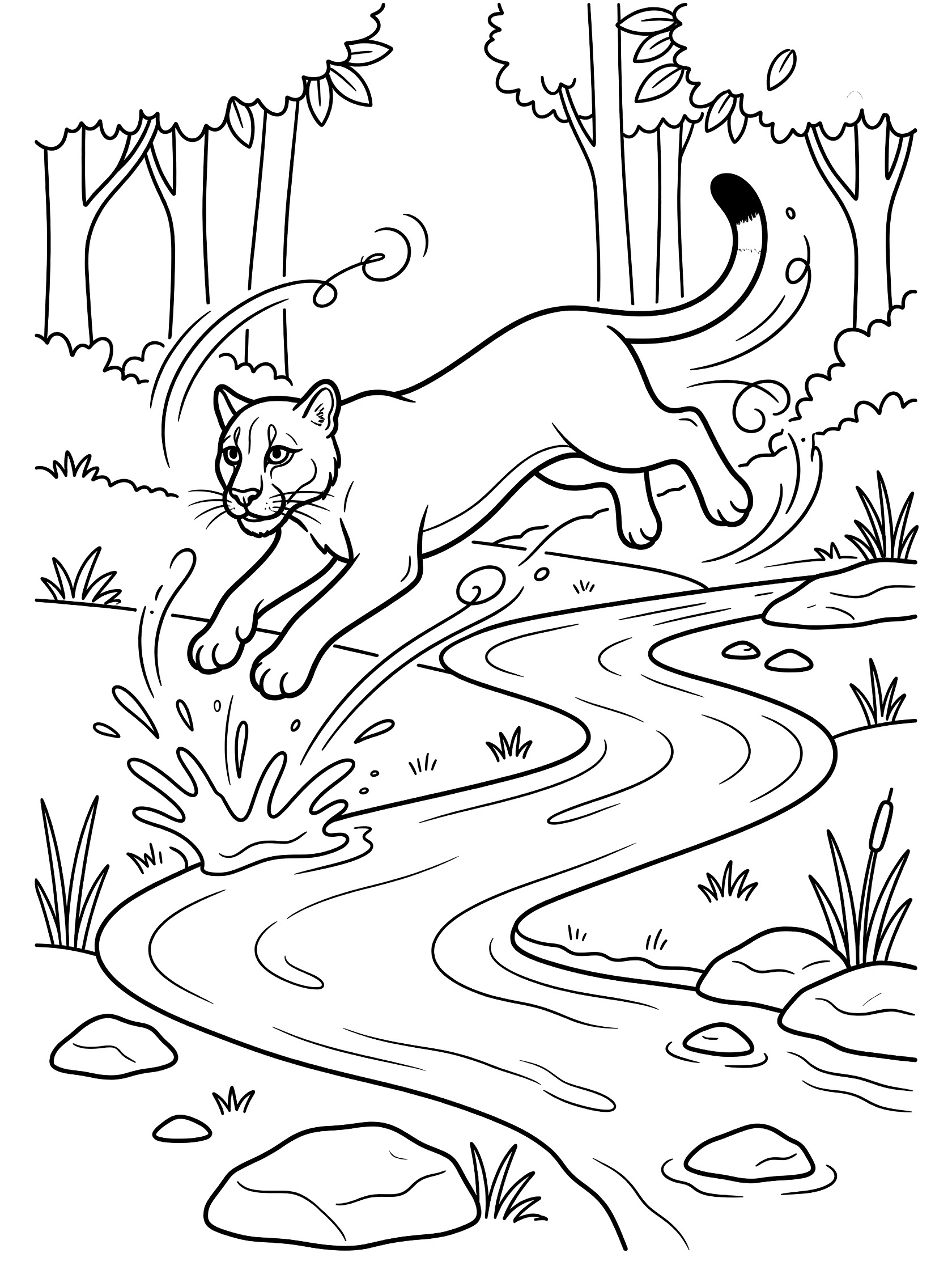 Black and white line art coloring page showing a cougar mid-leap over a winding stream surrounded by rocks, reeds, and trees in a forest. Puma themed black and white printable line art