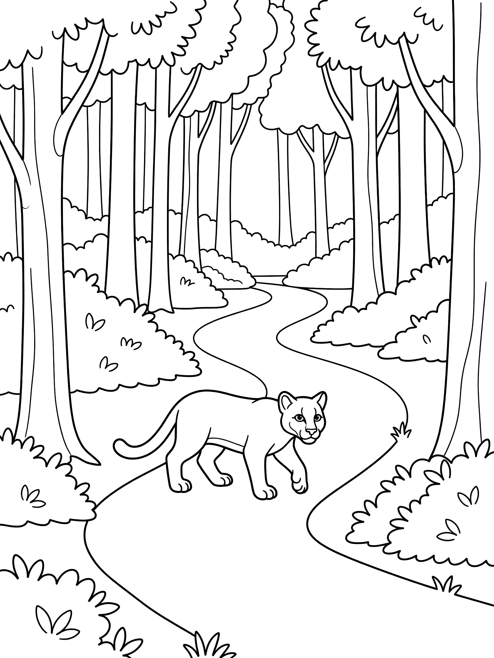 Black and white line art coloring page showing a cougar prowling on a curvy path through a forest with trees and bushes on both sides. Puma themed black and white printable line art