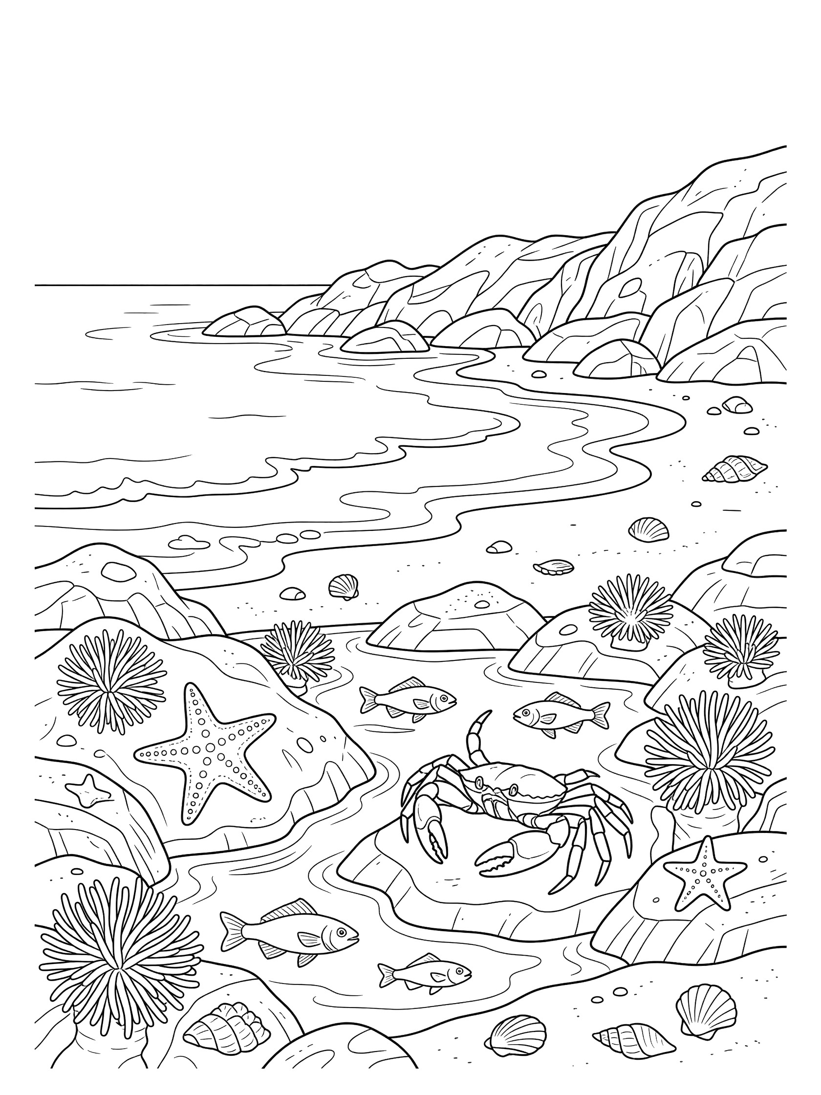 Line art coloring page showing tide pool scene with crabs crawling on rocks, starfish, spiky sea anemones, small fish swimming, seashells, waves and beach rocks. California Coast themed black and white printable line art