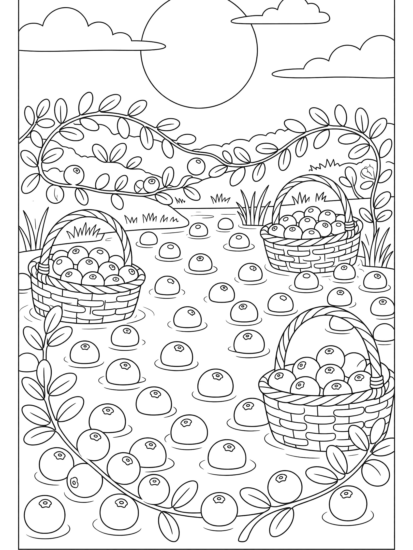Cranberry sauce harvest coloring page with floating cranberries in shallow bog water, collection baskets, edge vines, clouds, and harvest moon.