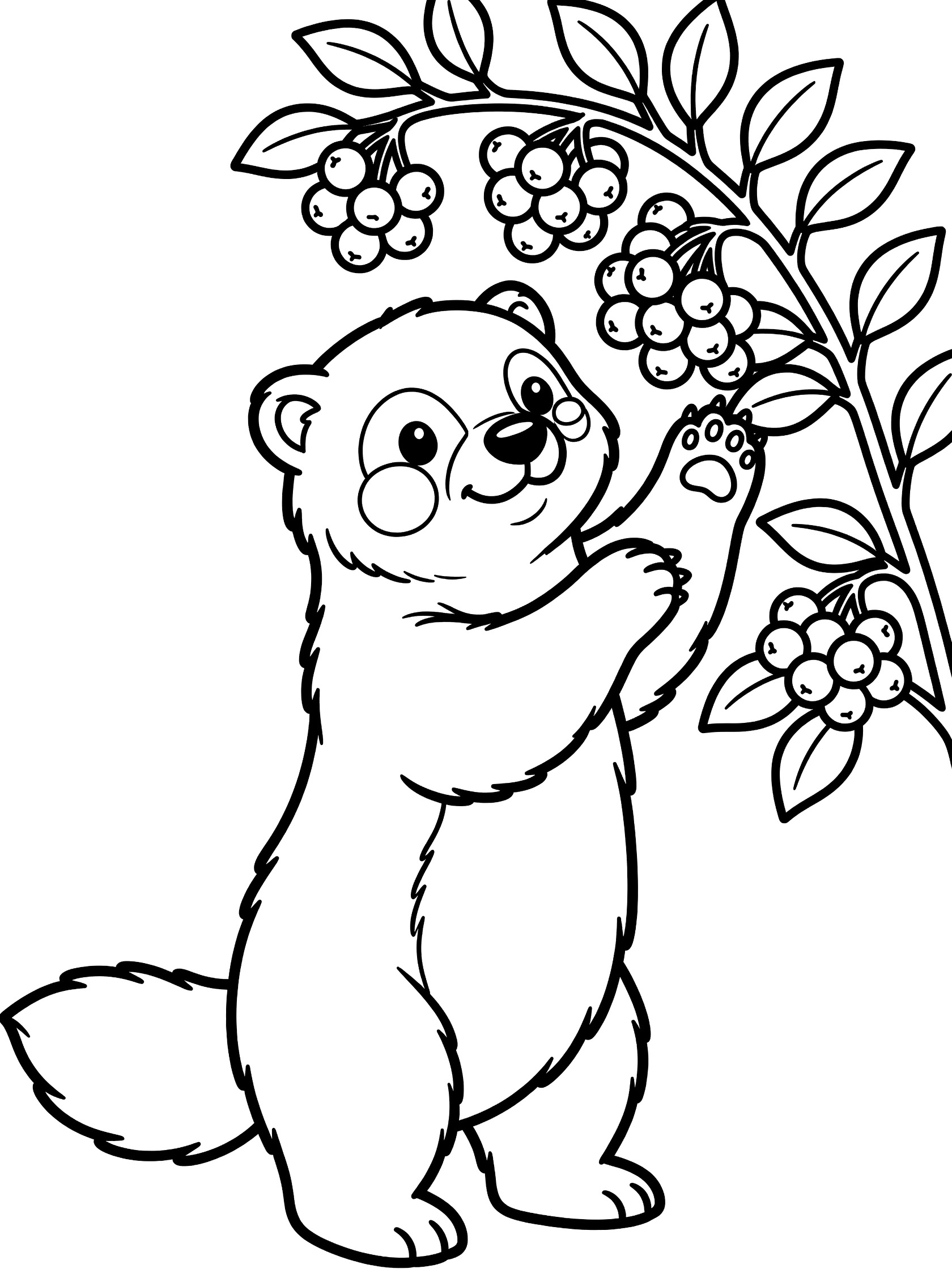 Black and white line art coloring page showing a chubby bear with round cheeks standing upright, paws reaching for clusters of berries on leafy bush branches. Wolverine themed black and white printable line art
