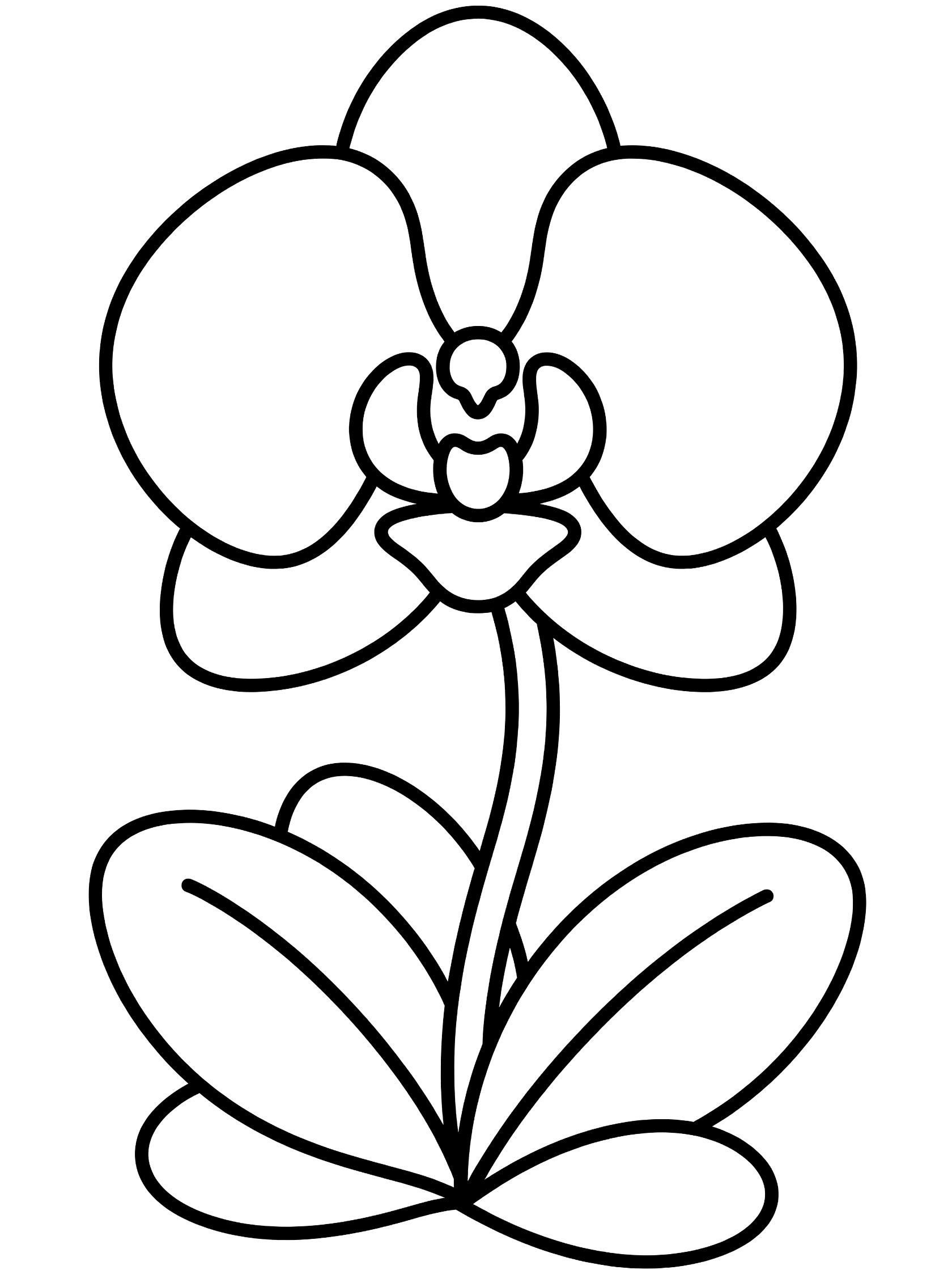 Black and white line art coloring page of a cute forward-facing orchid flower with oversized rounded petals, slender stem and chubby leaves