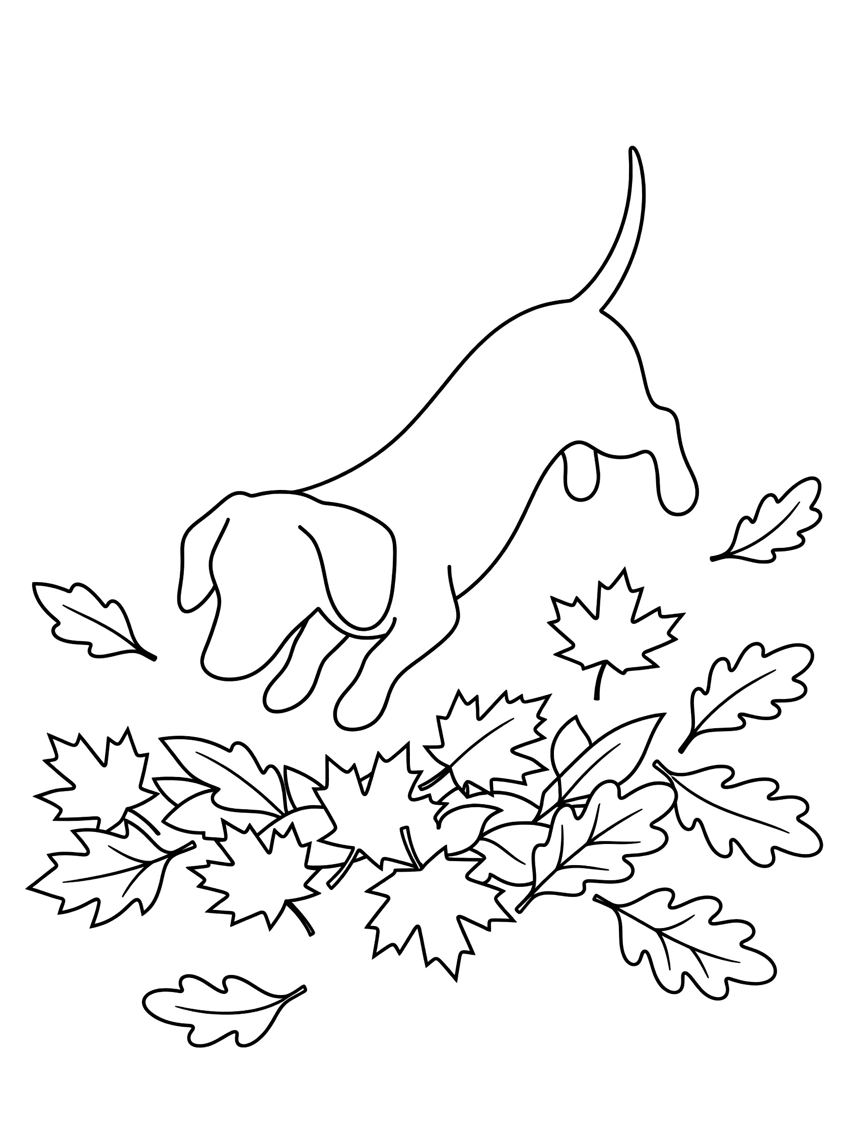 Black and white line art coloring page showing a dachshund dog jumping into a scattered pile of autumn leaves like maple and oak shapes.