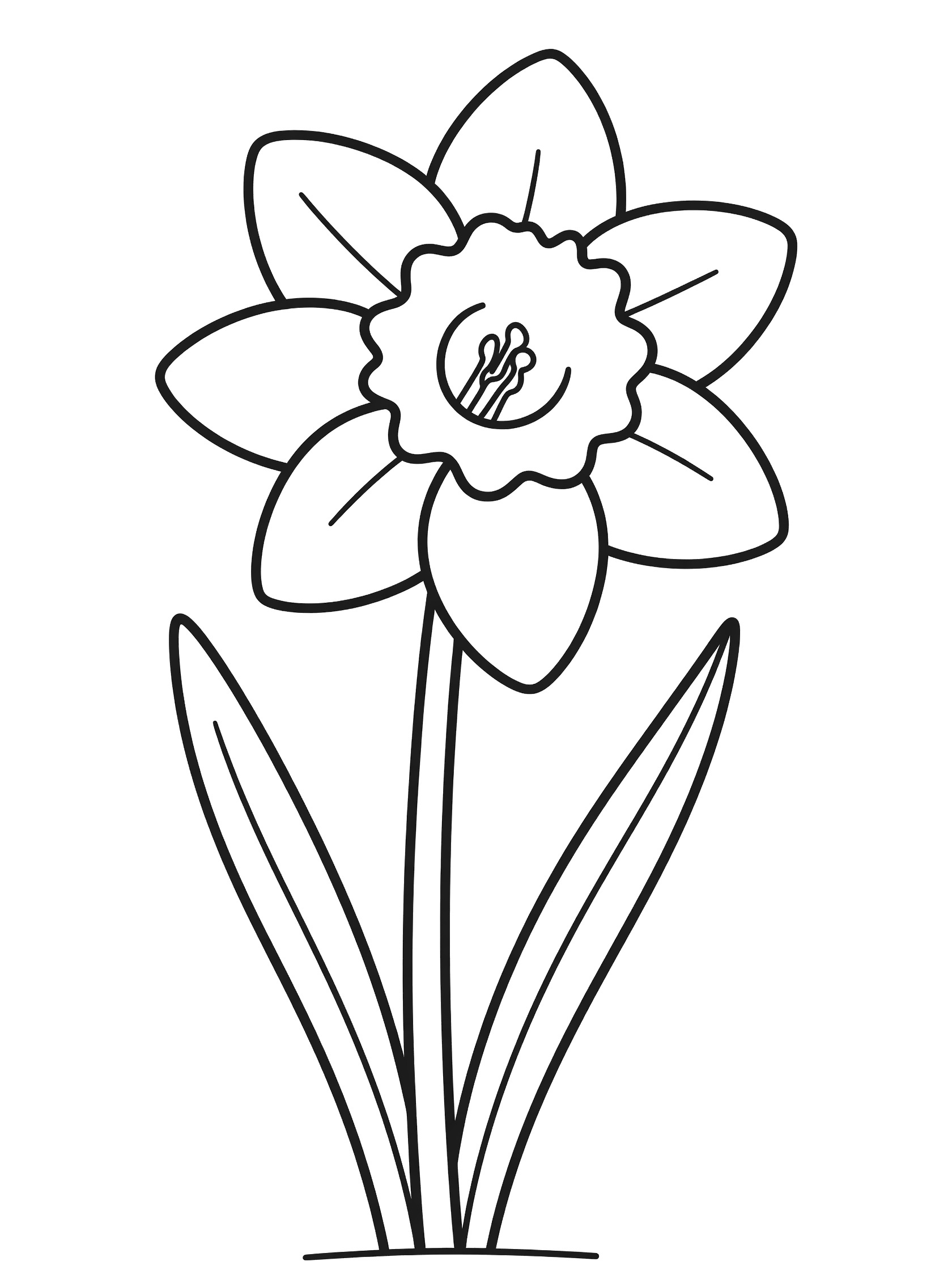 Black and white line drawing of a daffodil flower with open petals, trumpet, stem, two leaves and ground line, perfect for kids coloring.