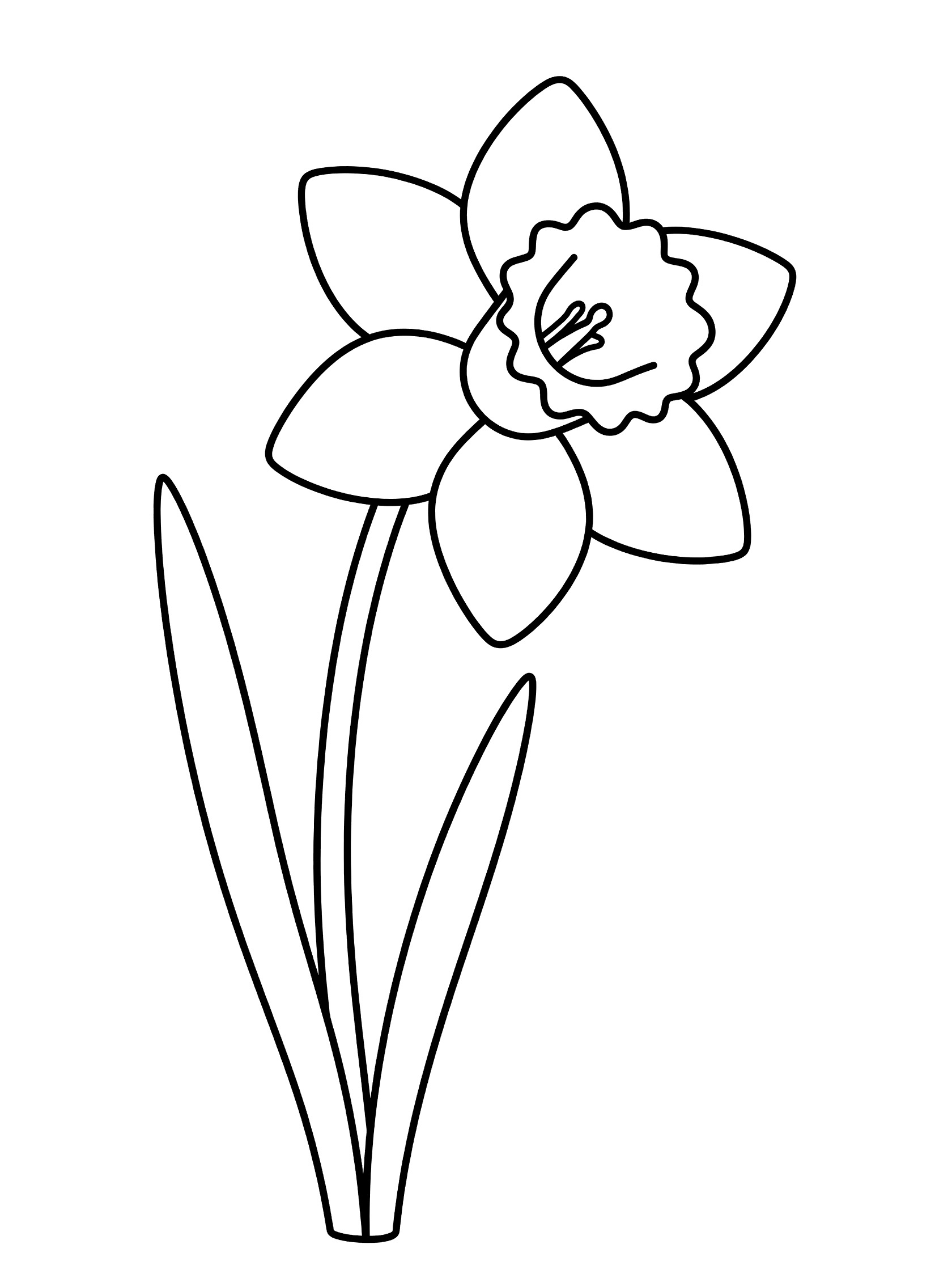 Black and white line art of a daffodil flower with trumpet center, curving stem, and two long leaves on white background.
