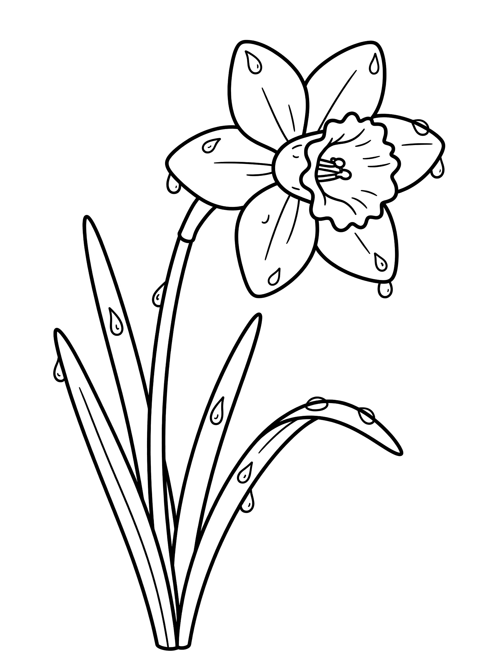 Black and white line drawing of a daffodil flower with curved stem, long leaves, and small round dew drops on petals and leaves.