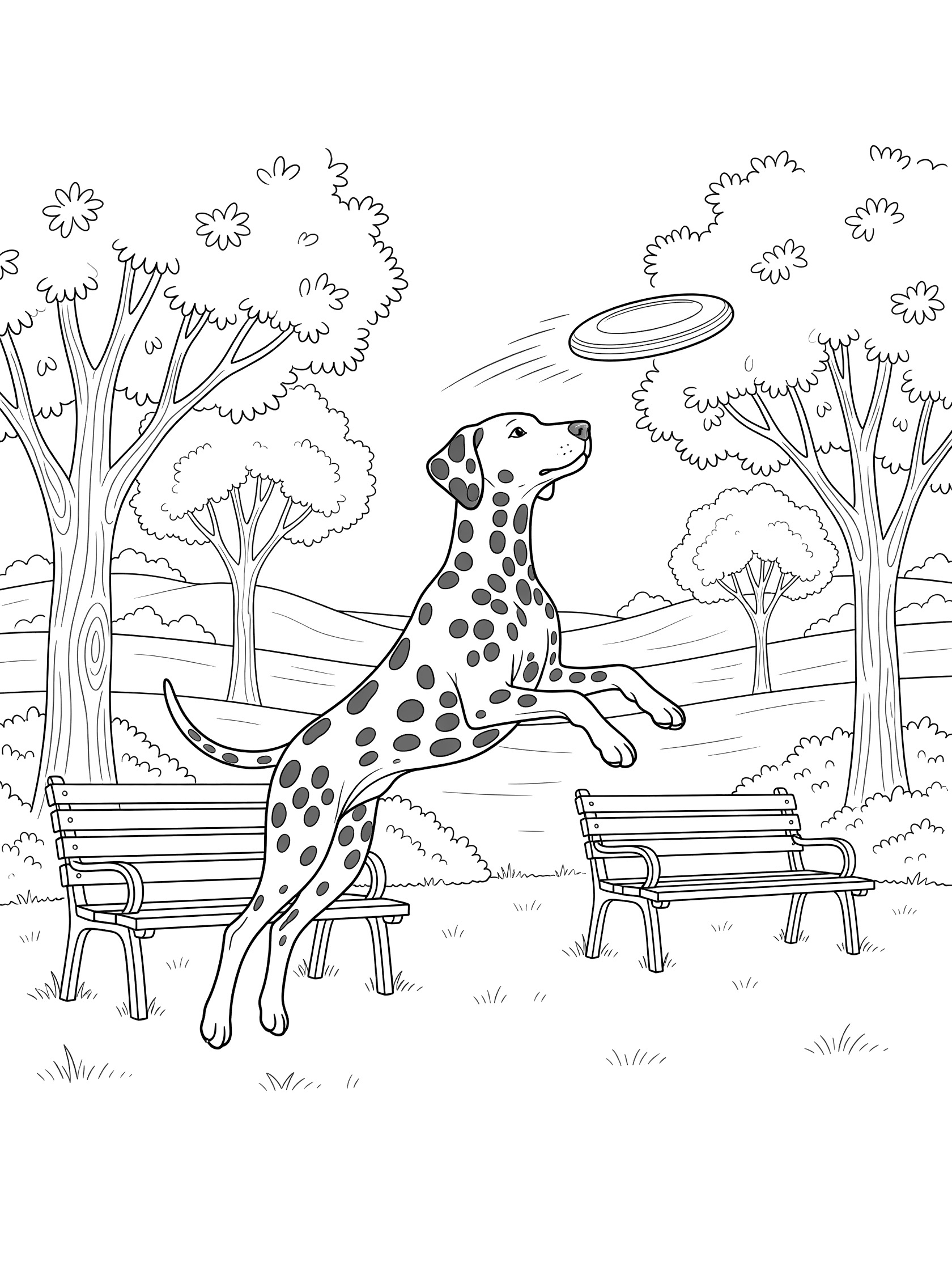 Black and white line art coloring page showing a spotted Dalmatian dog leaping to catch a flying frisbee surrounded by park trees and benches