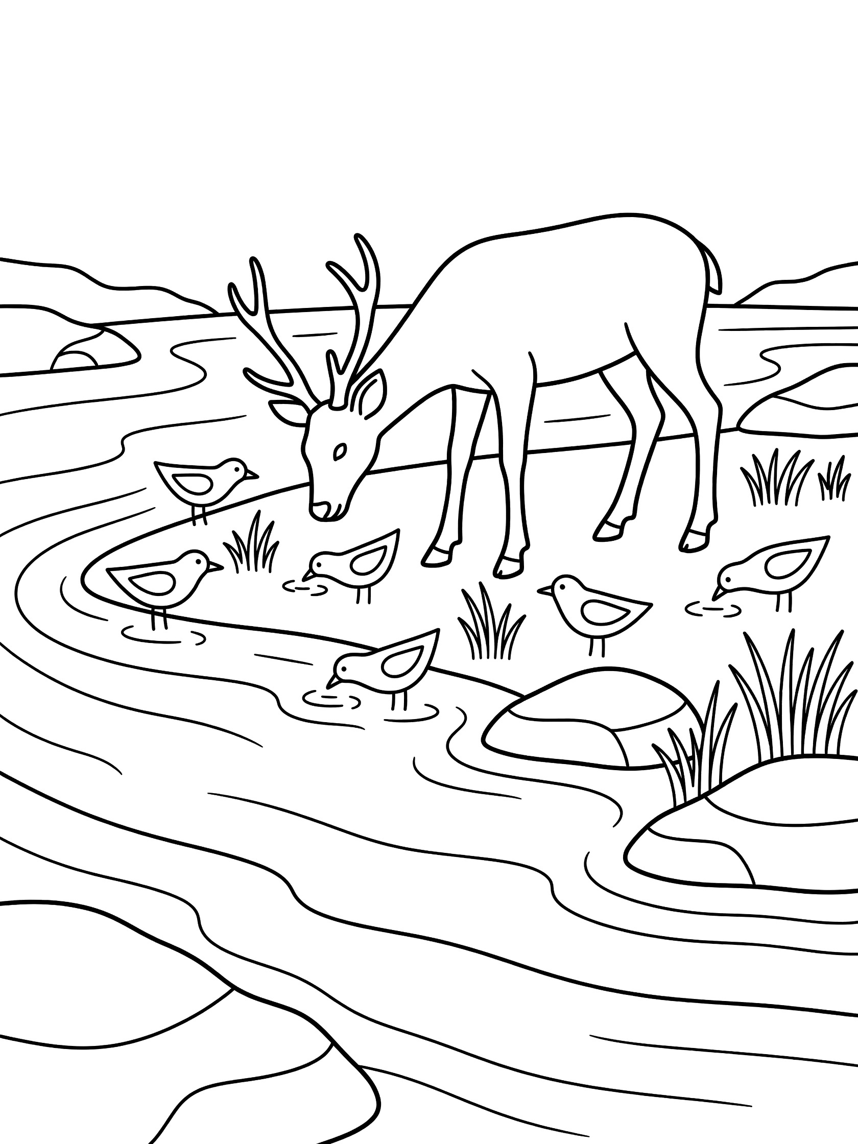Black and white coloring page showing a deer bending to drink from a flowing stream, surrounded by small birds drinking water, with grass and rocks along the bank. Yangtze River themed black and white printable line art