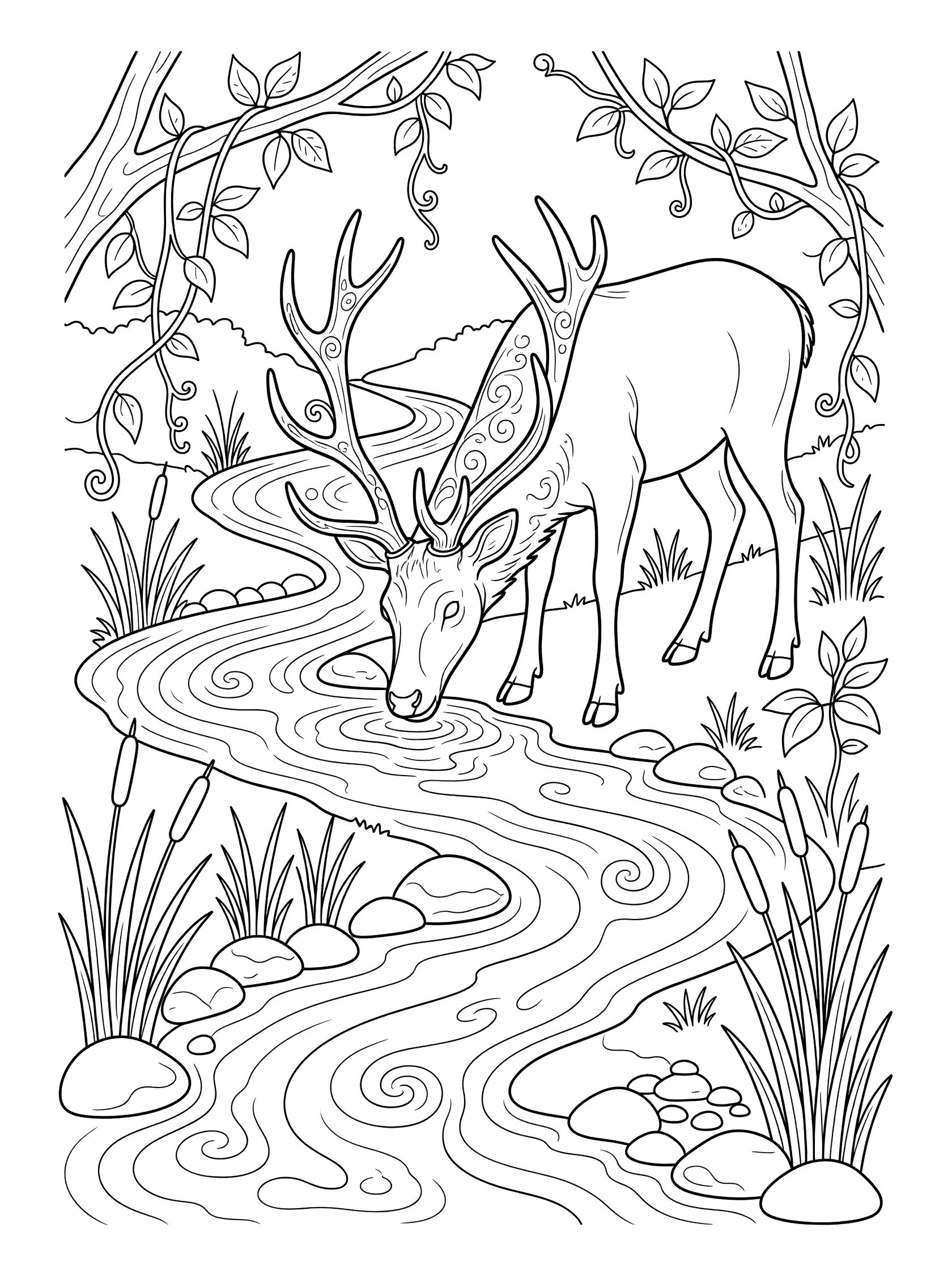 Black and white line art coloring page showing a deer bending down to drink from a curvy stream in a forest with reeds, pebbles, vines, and swirling water details. Elk themed black and white printable line art