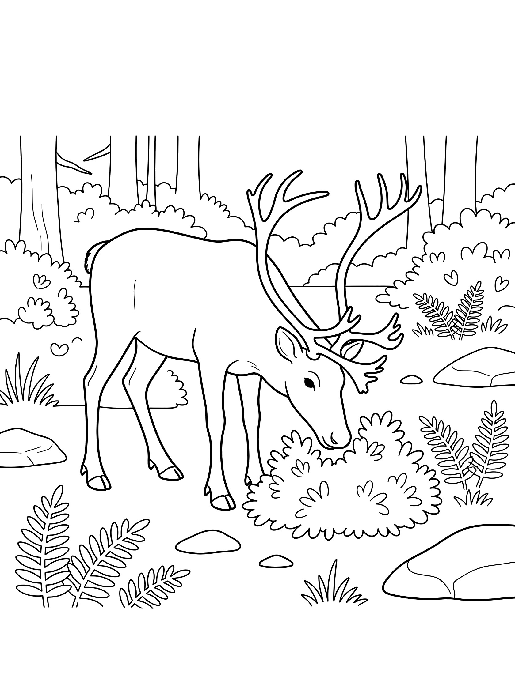 Black and white line art coloring page showing a deer with curved antlers nibbling on leafy bushes in a forest glade with ferns, rocks, grass and trees. Caribou themed black and white printable line art