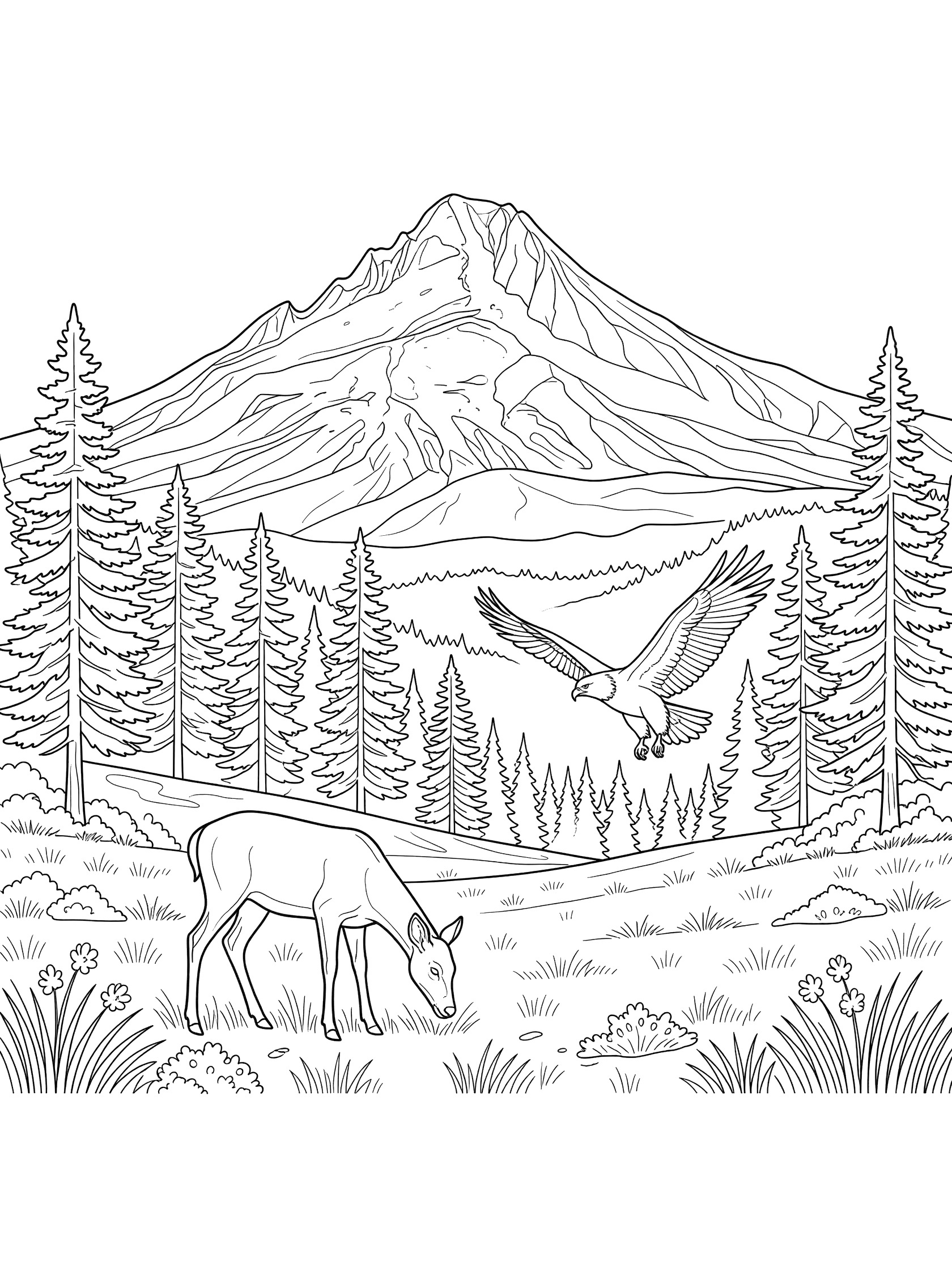Printable coloring page showing a deer eating grass in the foreground, pine trees on sides, eagle flying nearby, and a big mountain in the background. Mount Hood themed black and white printable line art