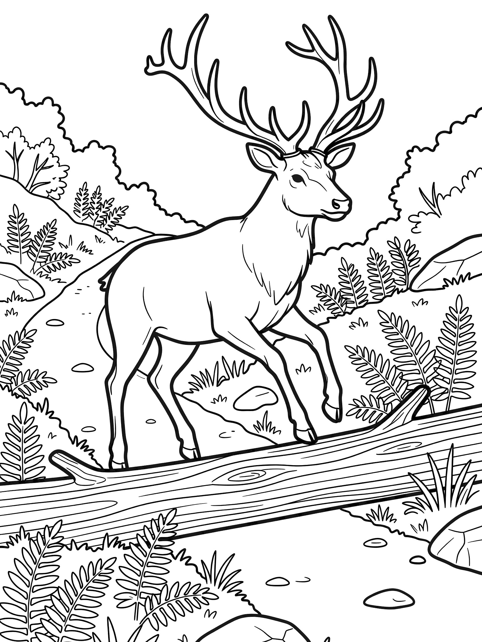 Black and white line art coloring page showing a deer with large antlers standing on a fallen log on a forest path surrounded by ferns, bushes, and rocks. Elk themed black and white printable line art