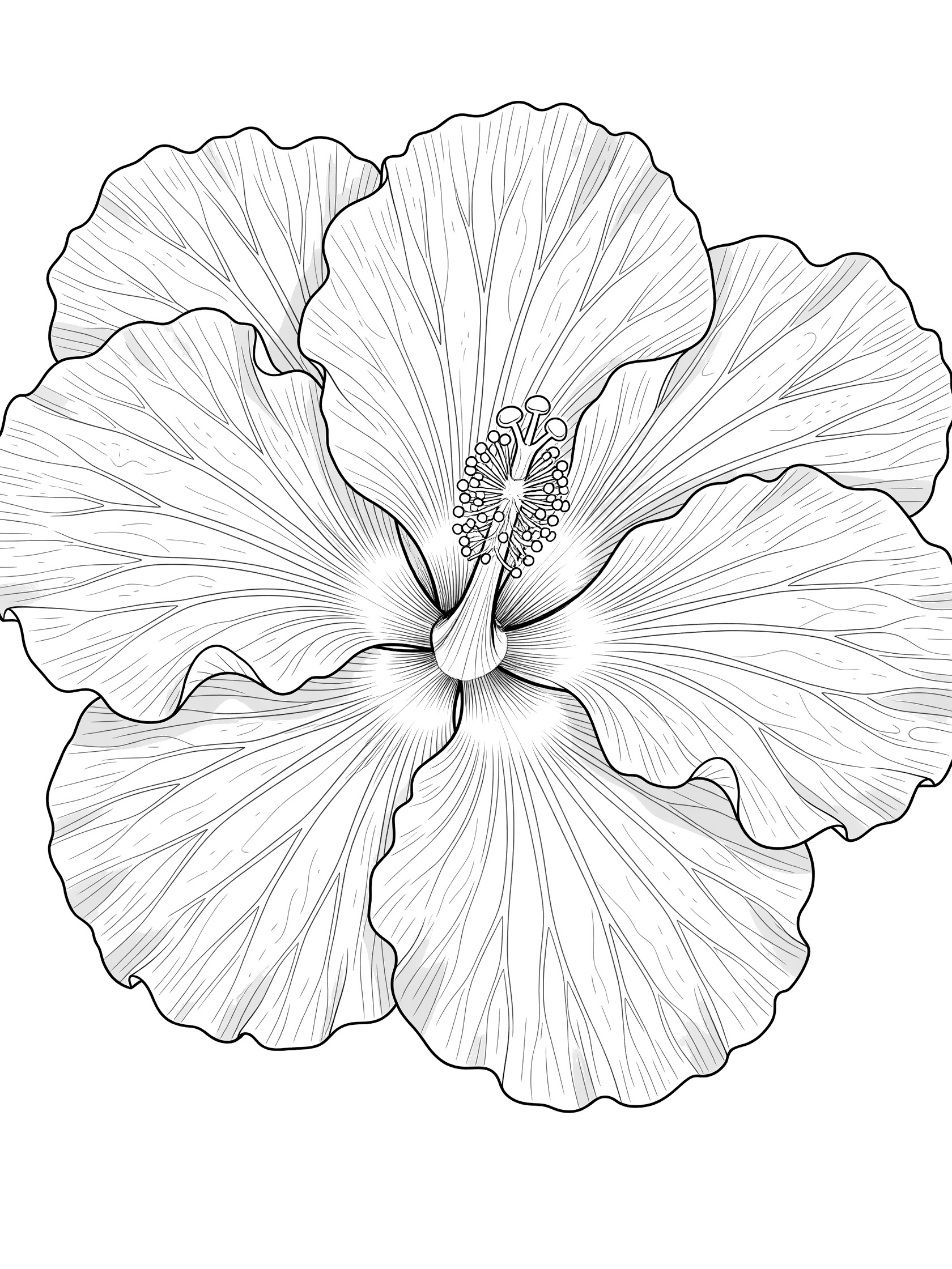 Close-up line art of hibiscus flower with overlapping ruffled petals, fine vein patterns, and detailed stamen cluster on white background.