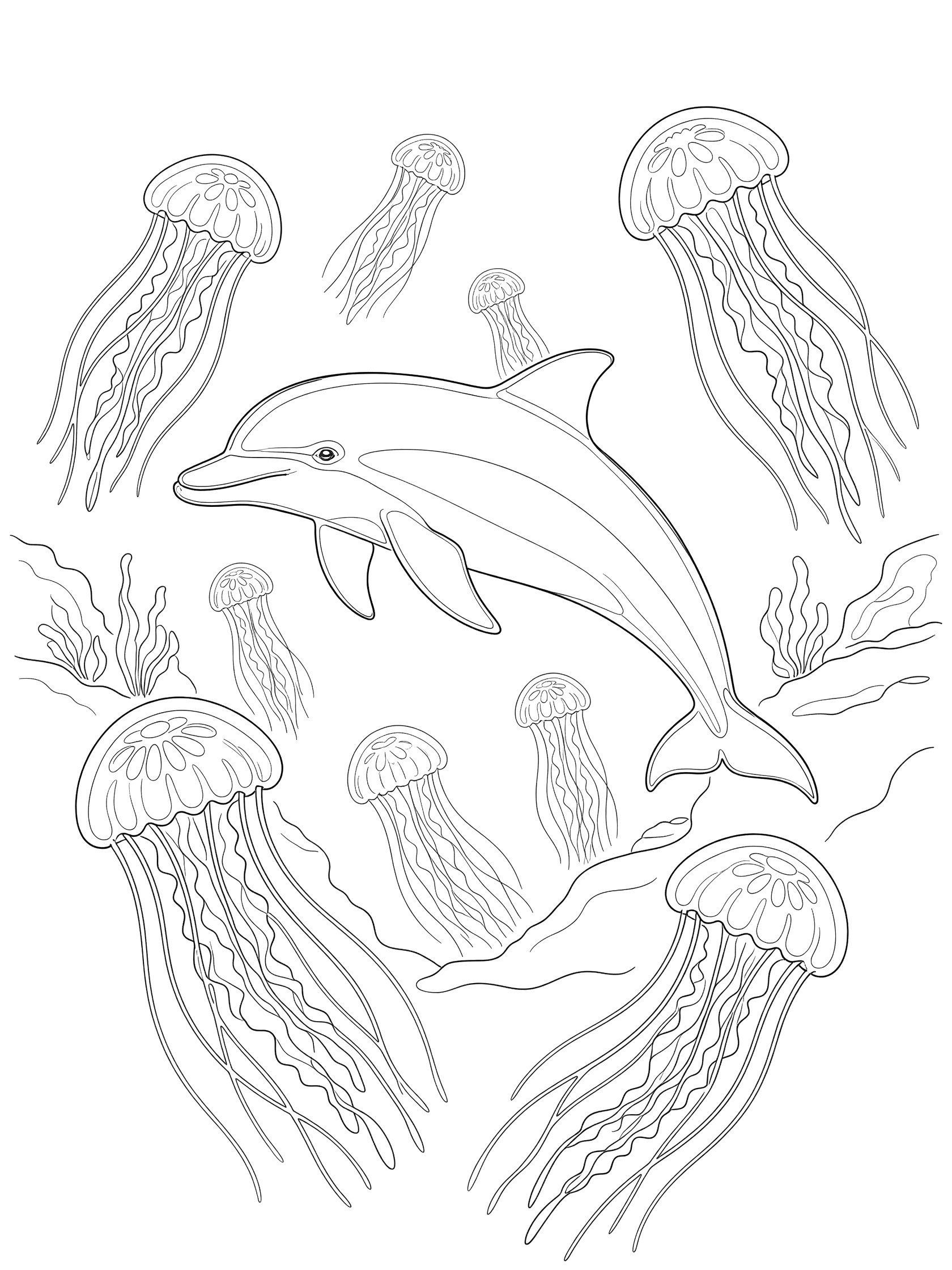 Black and white coloring page showing a dolphin swimming near several jellyfish with long tentacles and some ocean plants.