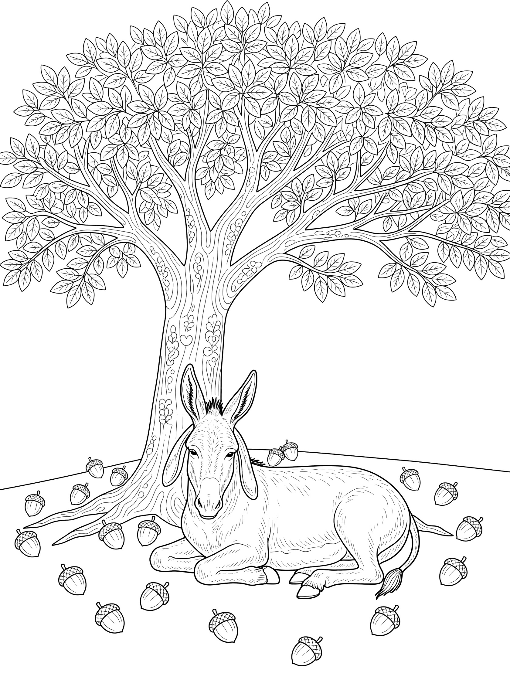 Black and white line art coloring page showing a donkey resting under a large tree with many leaves and acorns on the ground. Donkeys themed black and white printable line art