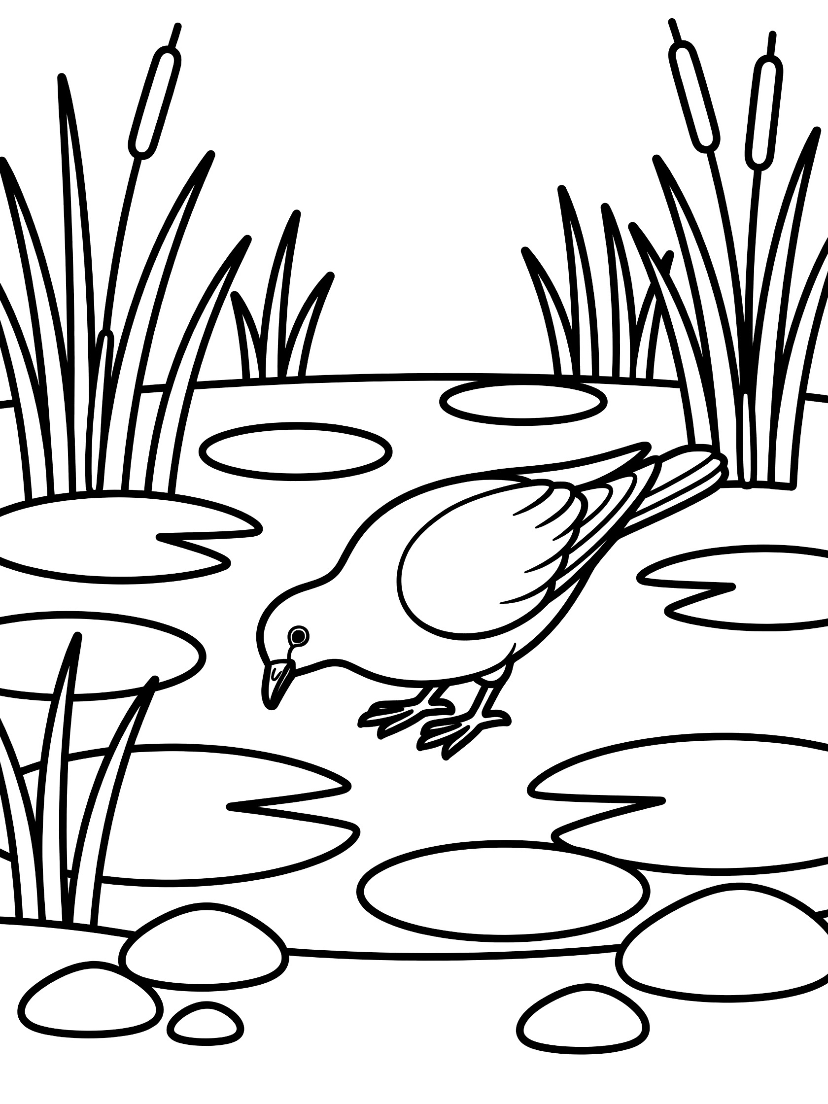 Black and white coloring page showing a dove bird drinking from a calm pond surrounded by lily pads, tall reeds, and small pebbles.