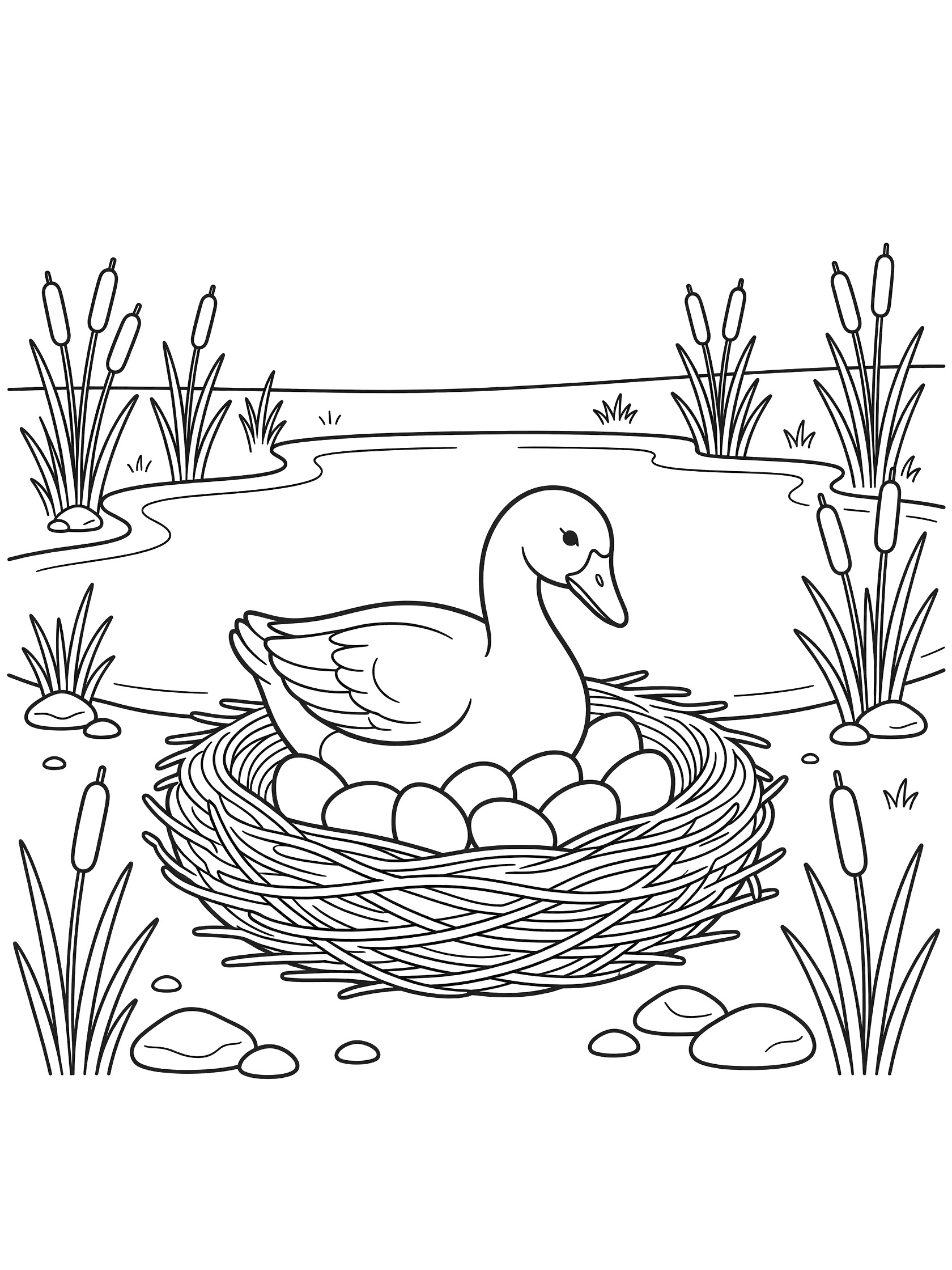 Black and white line art coloring page showing a duck on a nest filled with eggs next to a pond edged with cattails and pebbles. Geese themed black and white printable line art