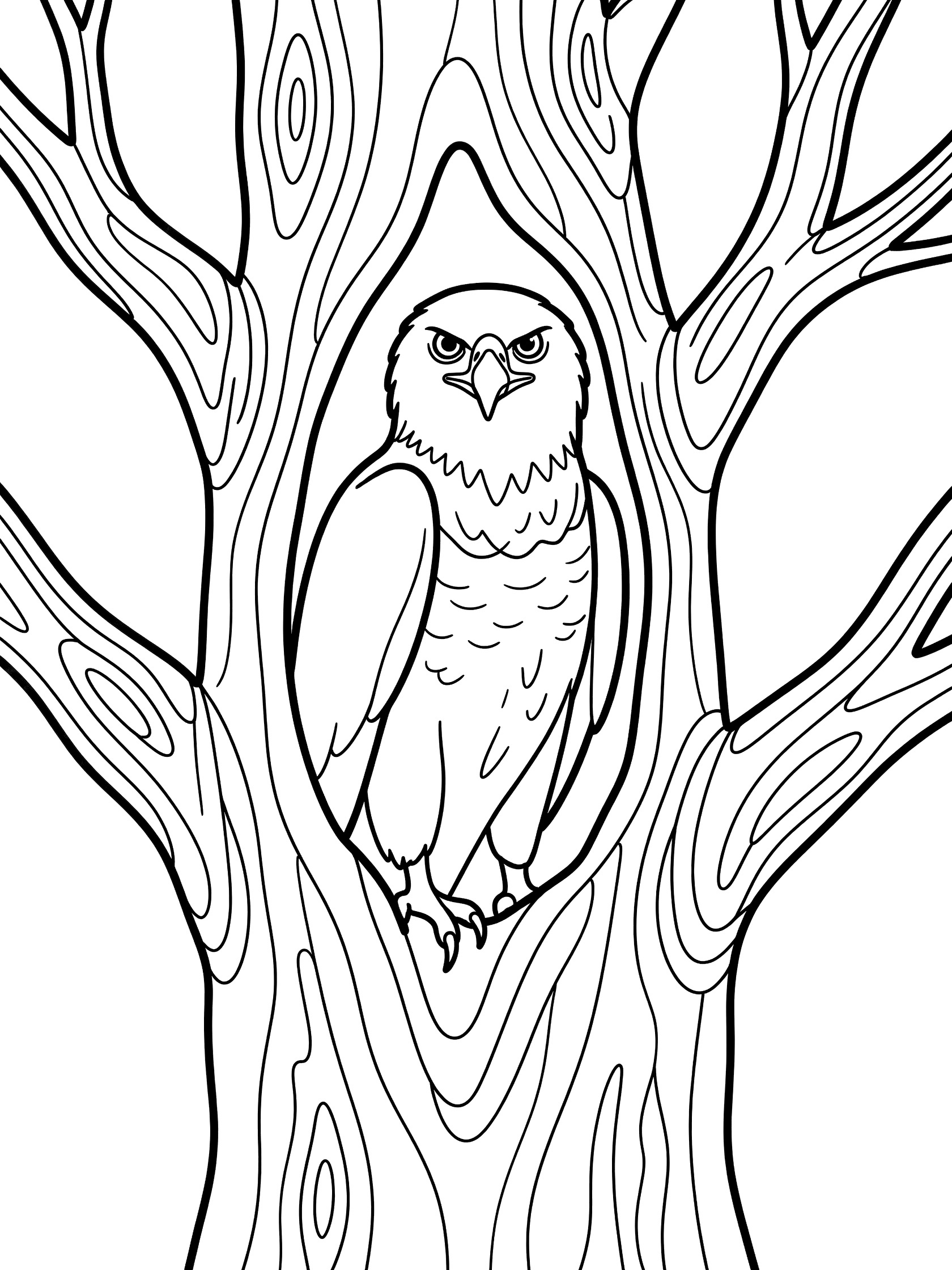 Black and white line art coloring page showing an eagle with fierce eyes poking its head and wings from a large tree hollow surrounded by tree branches and bark. Harpy Eagle themed black and white printable line art