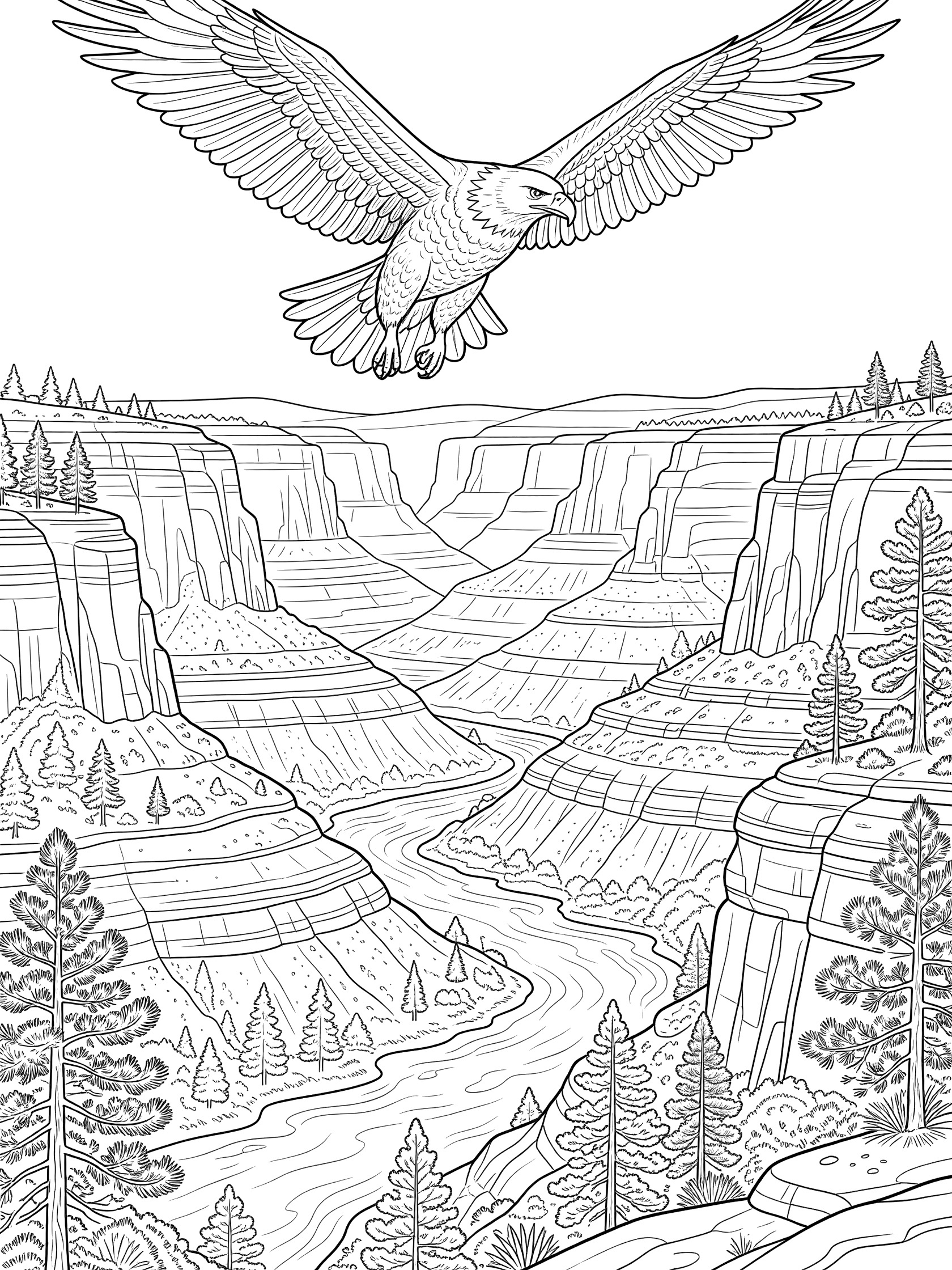 Black-and-white coloring page of a bald eagle gliding with wings spread over Copper Canyon, showing steep red rock walls, a snaking river below, and pine trees on the rims.