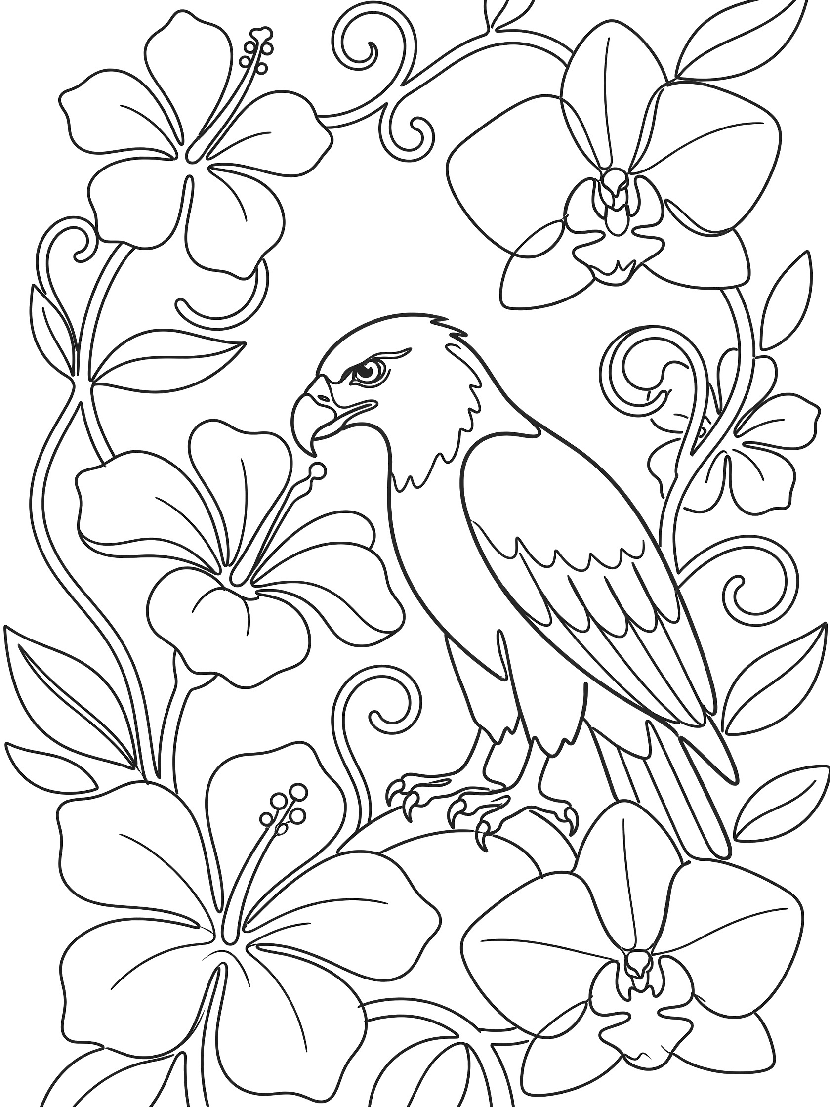 Black and white line art coloring page showing a detailed eagle surrounded by hibiscus and orchid flowers with vines and swirls. Harpy Eagle themed black and white printable line art