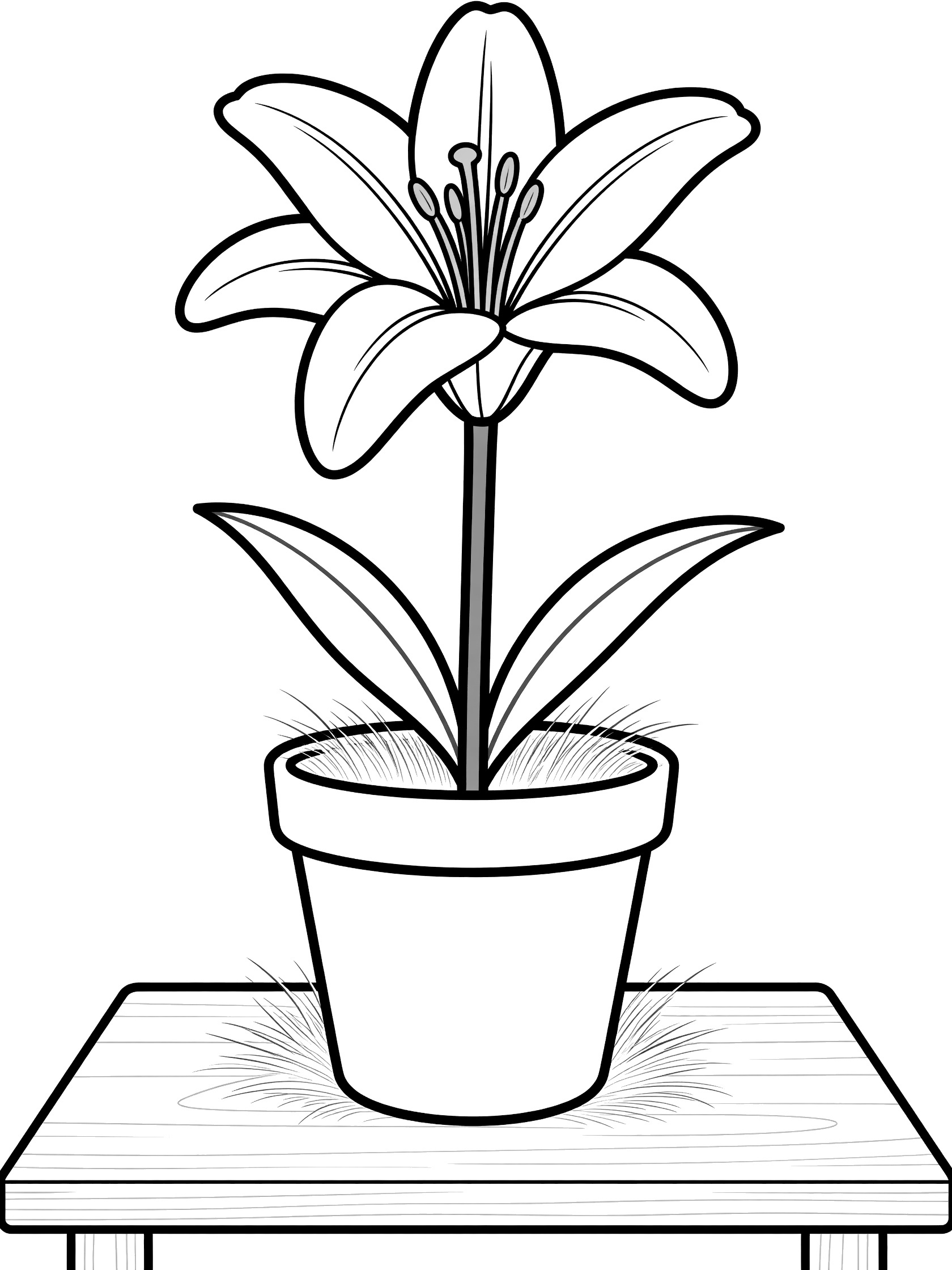Black and white coloring page of a single Easter lily flower on a green stem with leaves in a pot on a table
