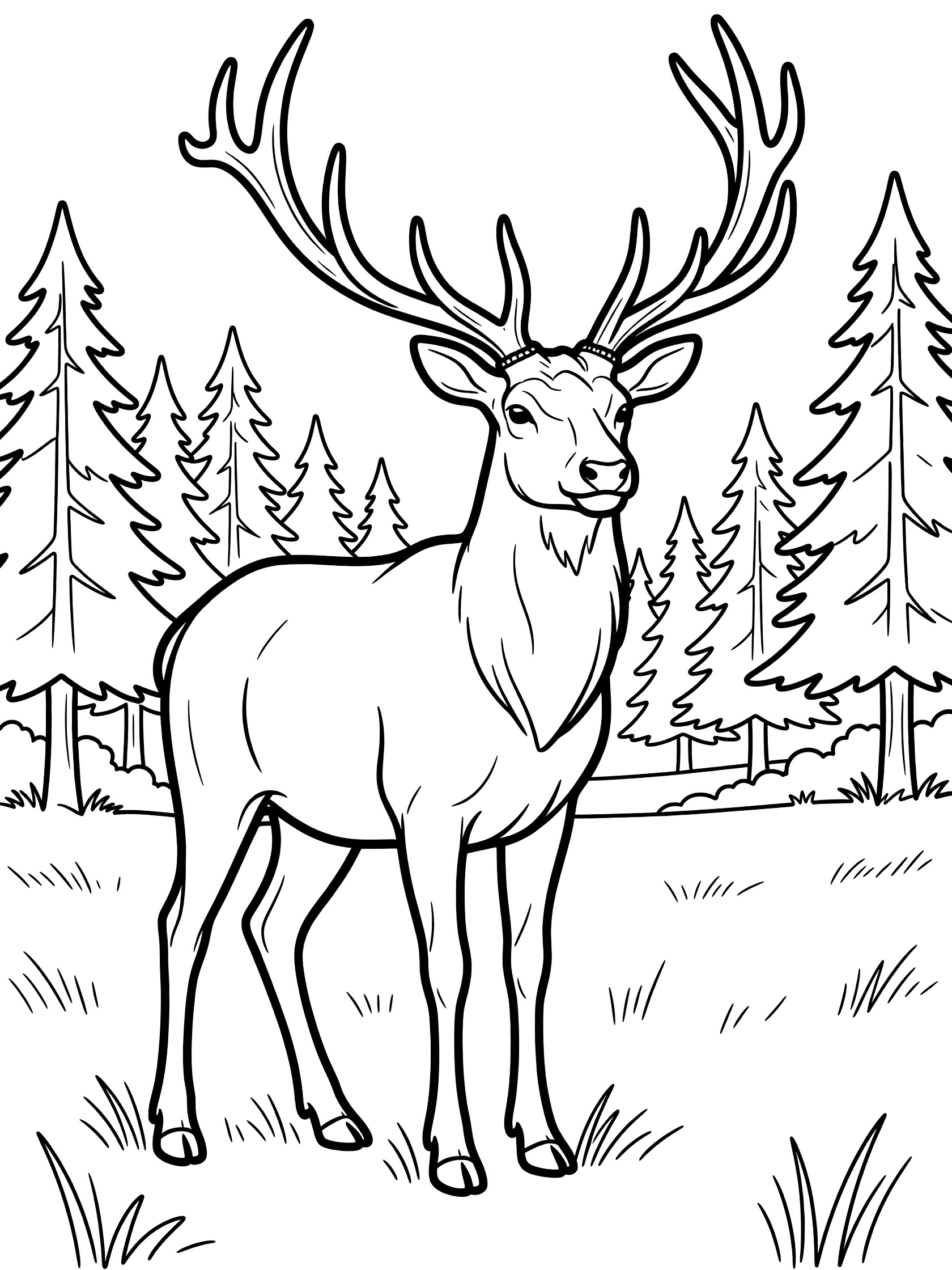 Black and white coloring page of a standing elk with large branching antlers in a forest with pine trees, grass, and white background