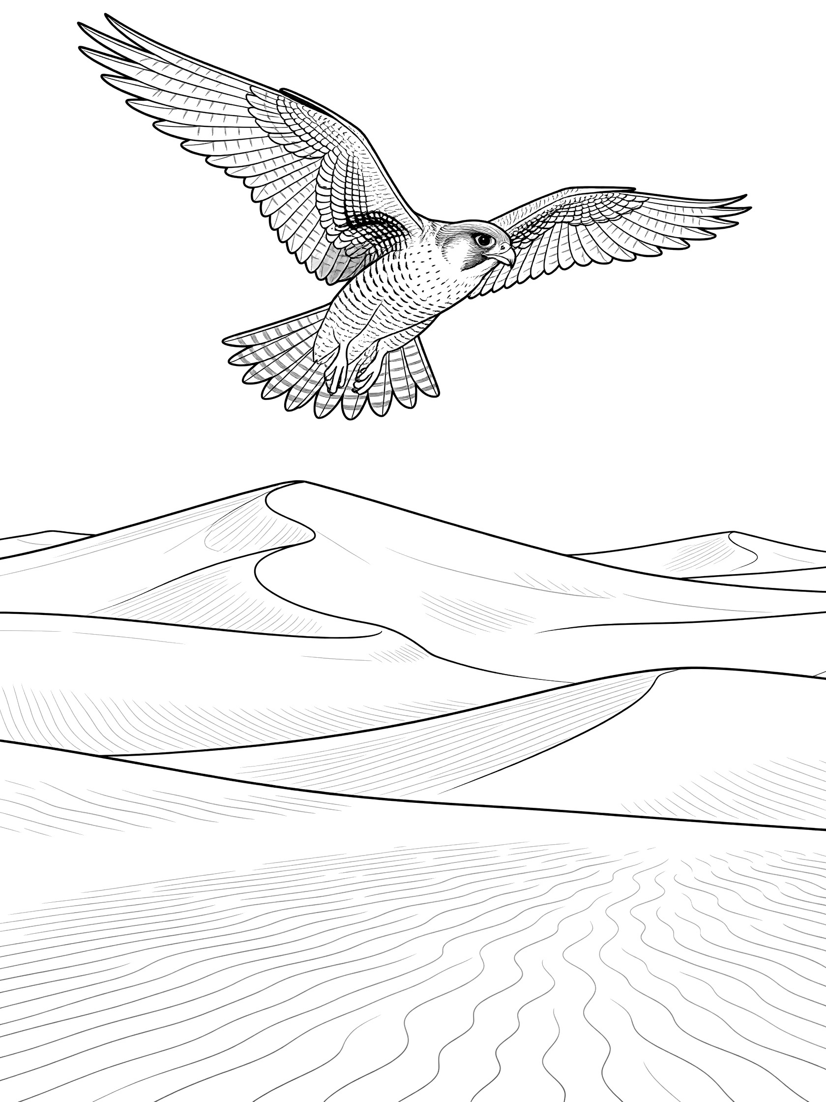 Black and white line art of a majestic falcon soaring high over curved sand dunes with wind ripples in the Arabian Desert