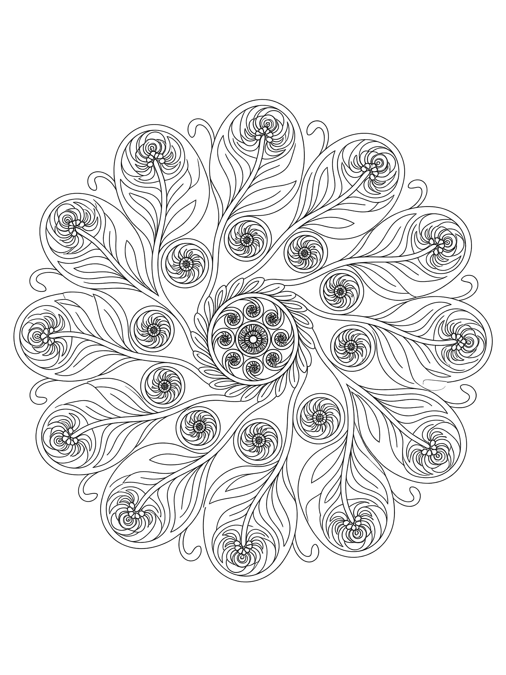 Black and white fern spiral mandala coloring page showing a central spiral frond unfurling into layered fern leaves in perfect symmetry.