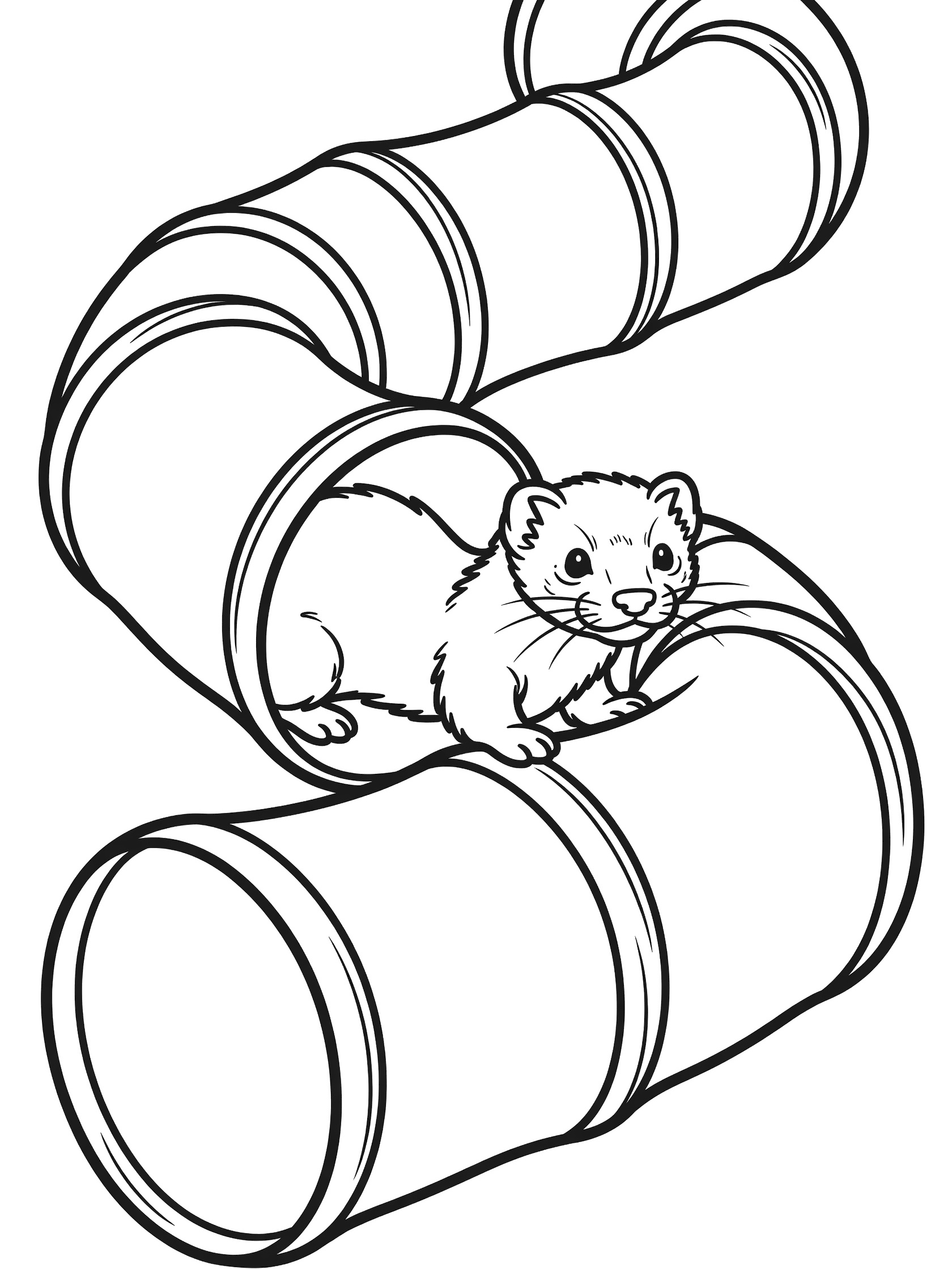 Black and white line art coloring page showing a ferret with wide eyes and perked ears halfway inside a curly tube tunnel, bold outlines on white background.
