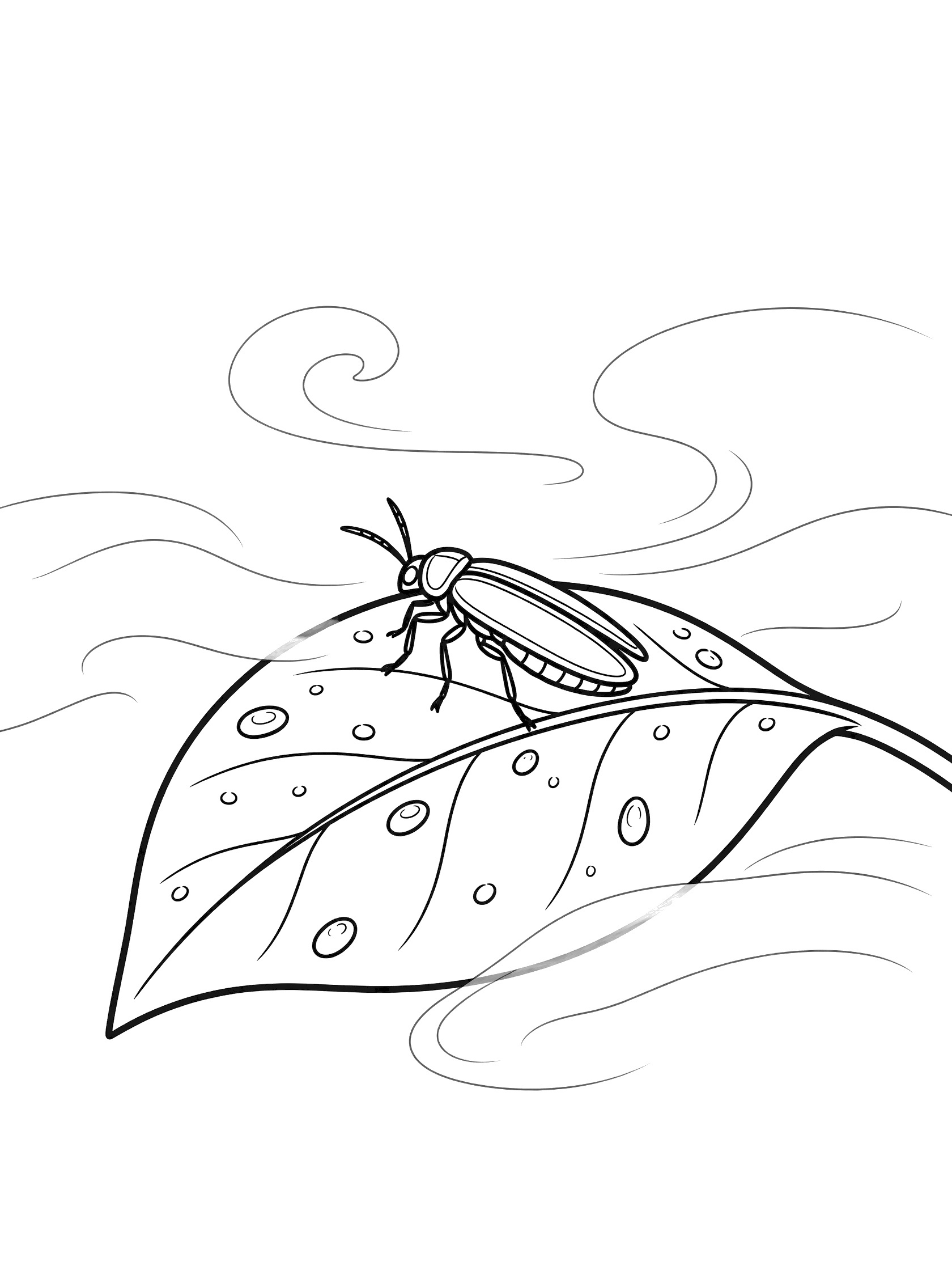 Black and white line art coloring page showing a firefly clinging to a large leaf covered in round dewdrops, with curly swirls around the bottom.