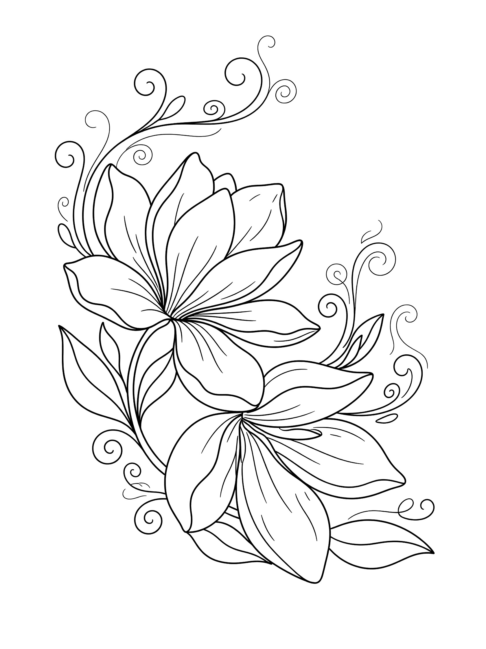 Black and white line art coloring page showing two large flowers with layered petals, stems with fantasy curls, and swirling leaves. Magnolia themed black and white printable line art