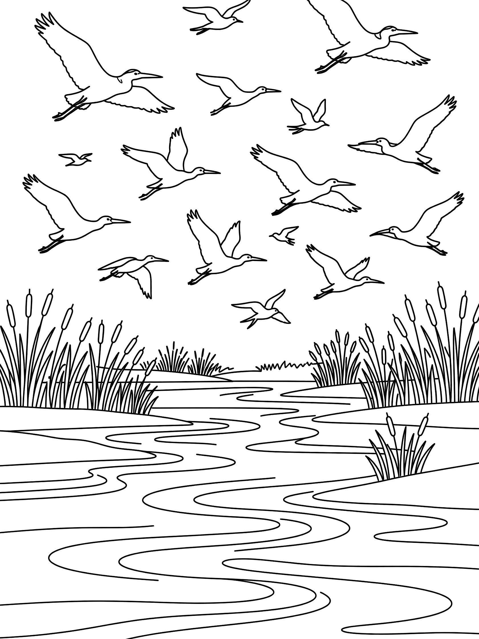 Black and white line art coloring page showing many herons in flight above a winding stream lined with reeds. The Nile River themed black and white printable line art