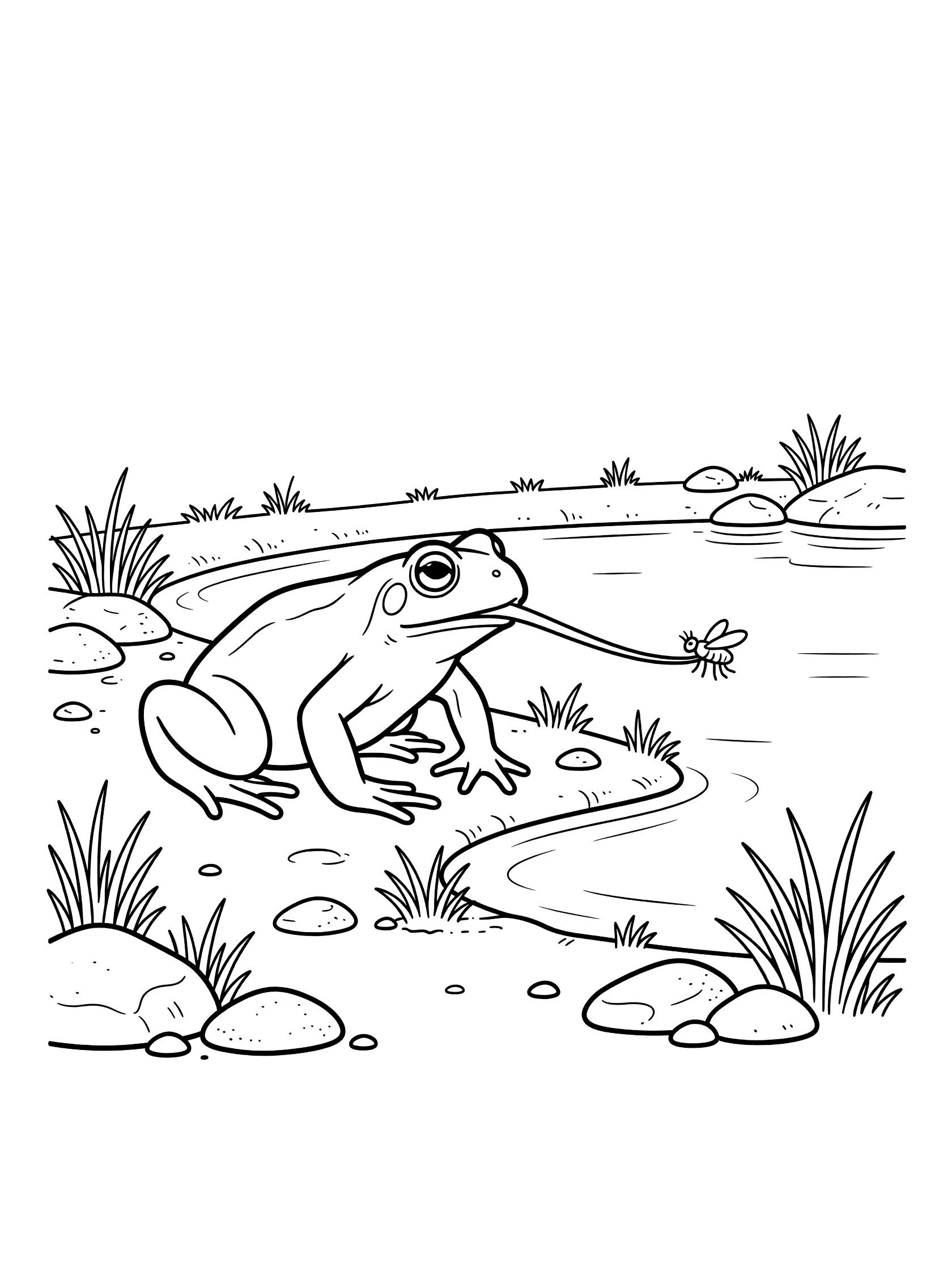 Black and white line art coloring page showing a frog with extended tongue catching a fly by a pond edge surrounded by grass and pebbles. Toad themed black and white printable line art