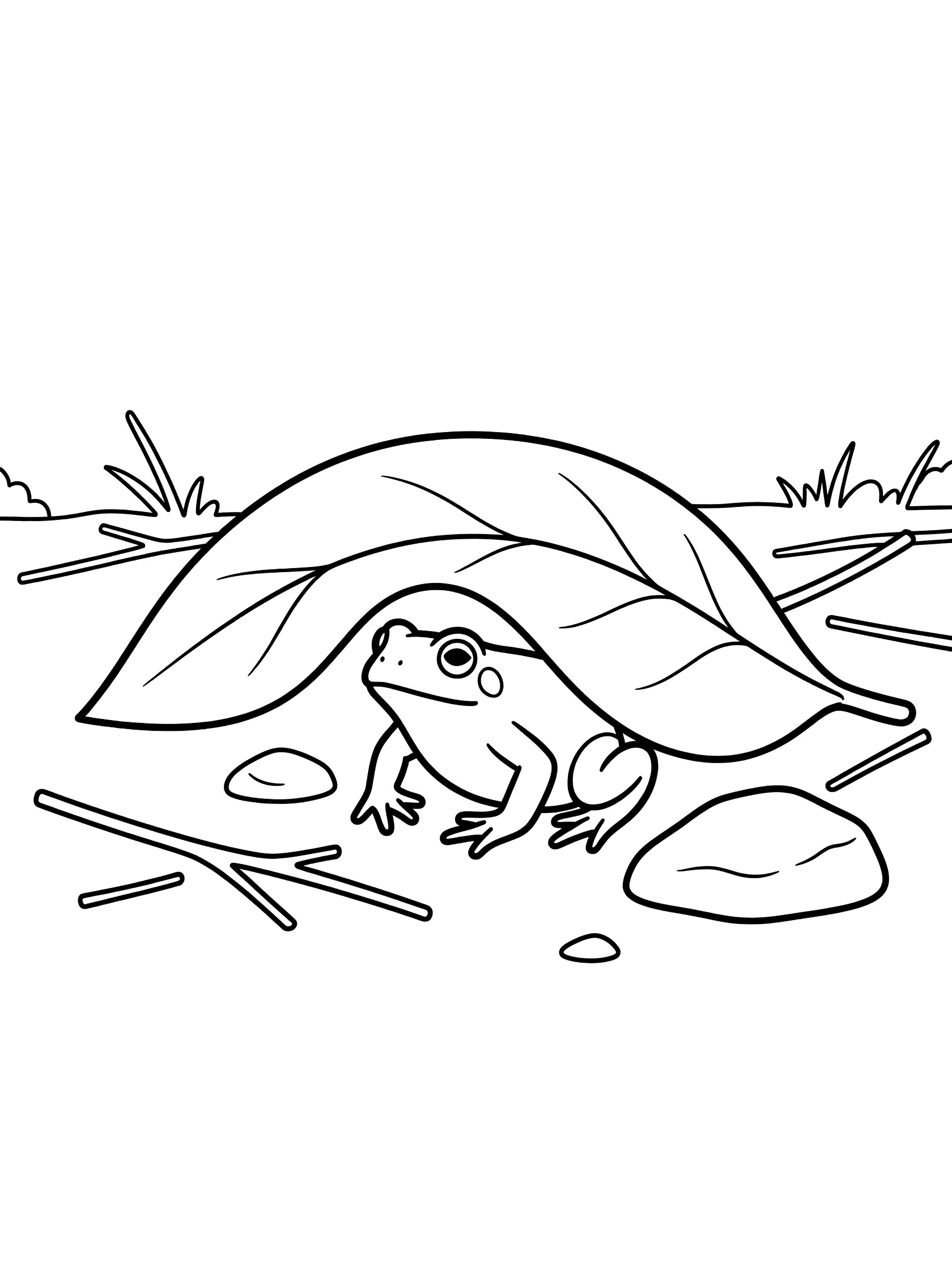 Black and white line art coloring page showing a frog hiding under a large leaf with nearby rocks, twigs, and grass on a white background. Toad themed black and white printable line art