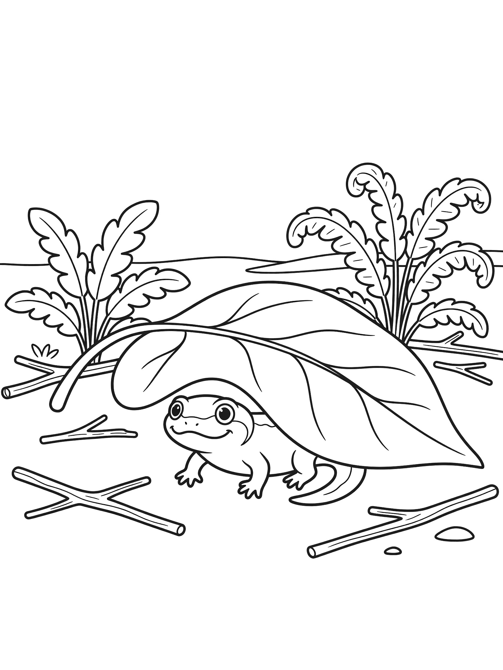 Black and white line art coloring page showing a small frog with wide eyes hiding under a big leaf on the forest floor, surrounded by ferns and twigs. Newt themed black and white printable line art