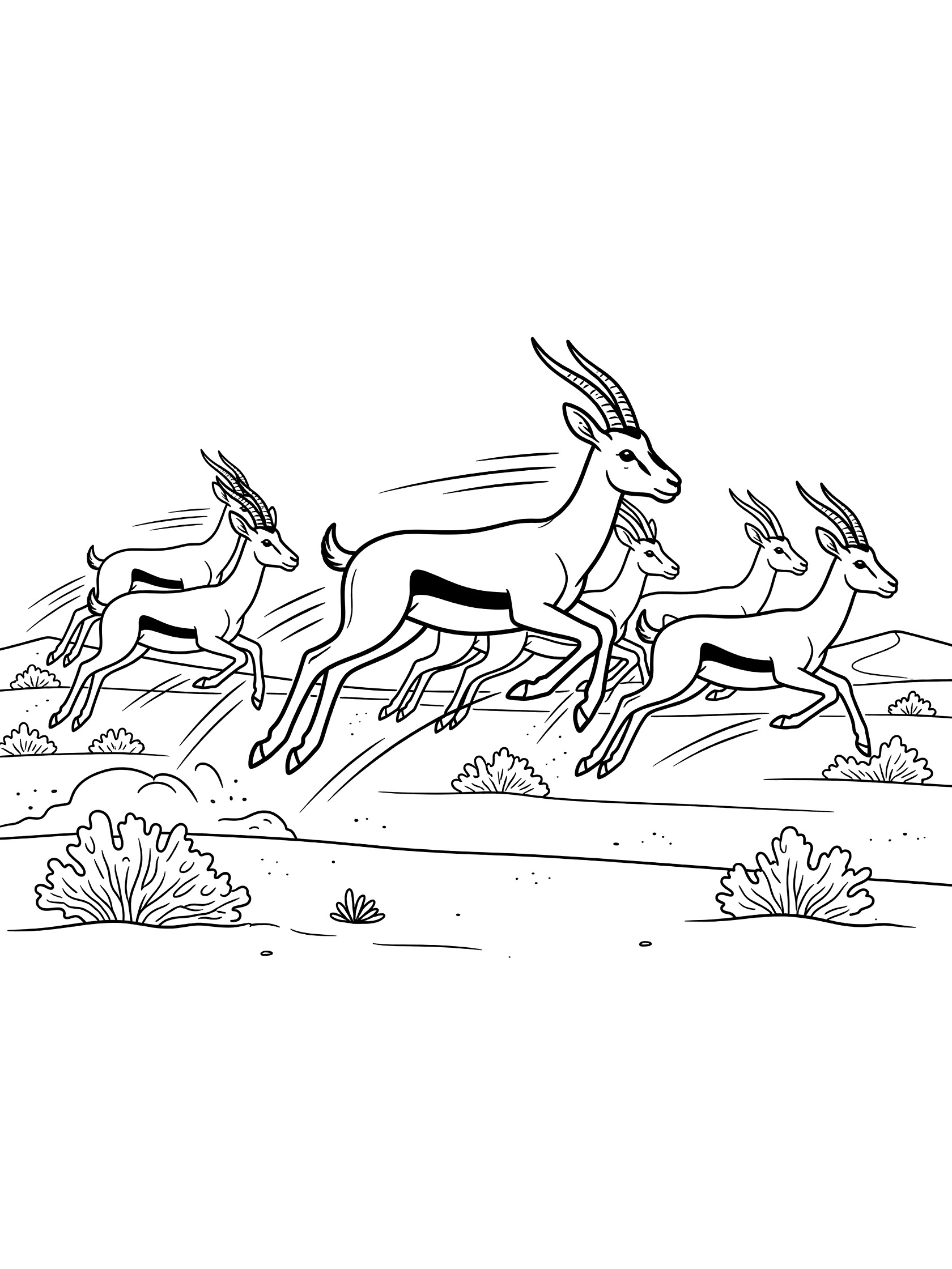 Herd of gazelles jumping over flat sandy plains dotted with shrubs in the Arabian Desert, line art coloring page