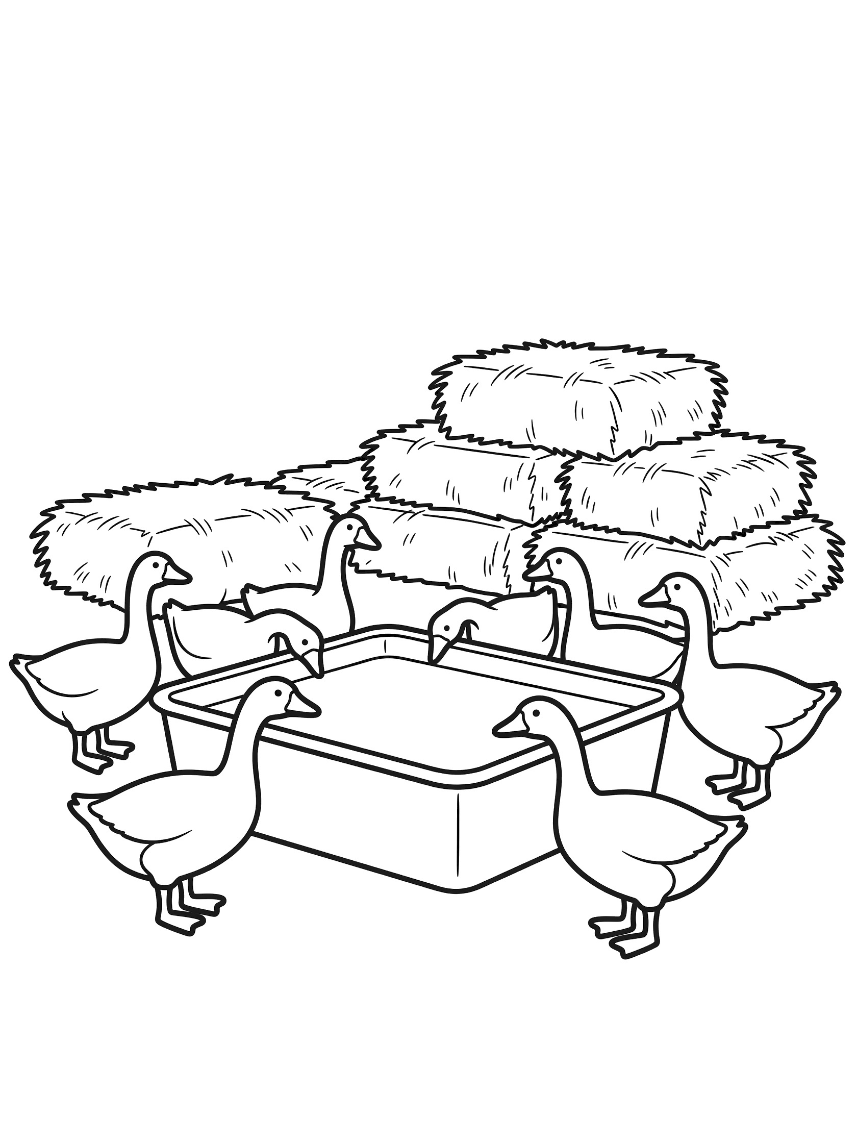 Black and white line drawing of several geese drinking from a large rectangular water trough surrounded by tall stacks of hay bales on a farm.