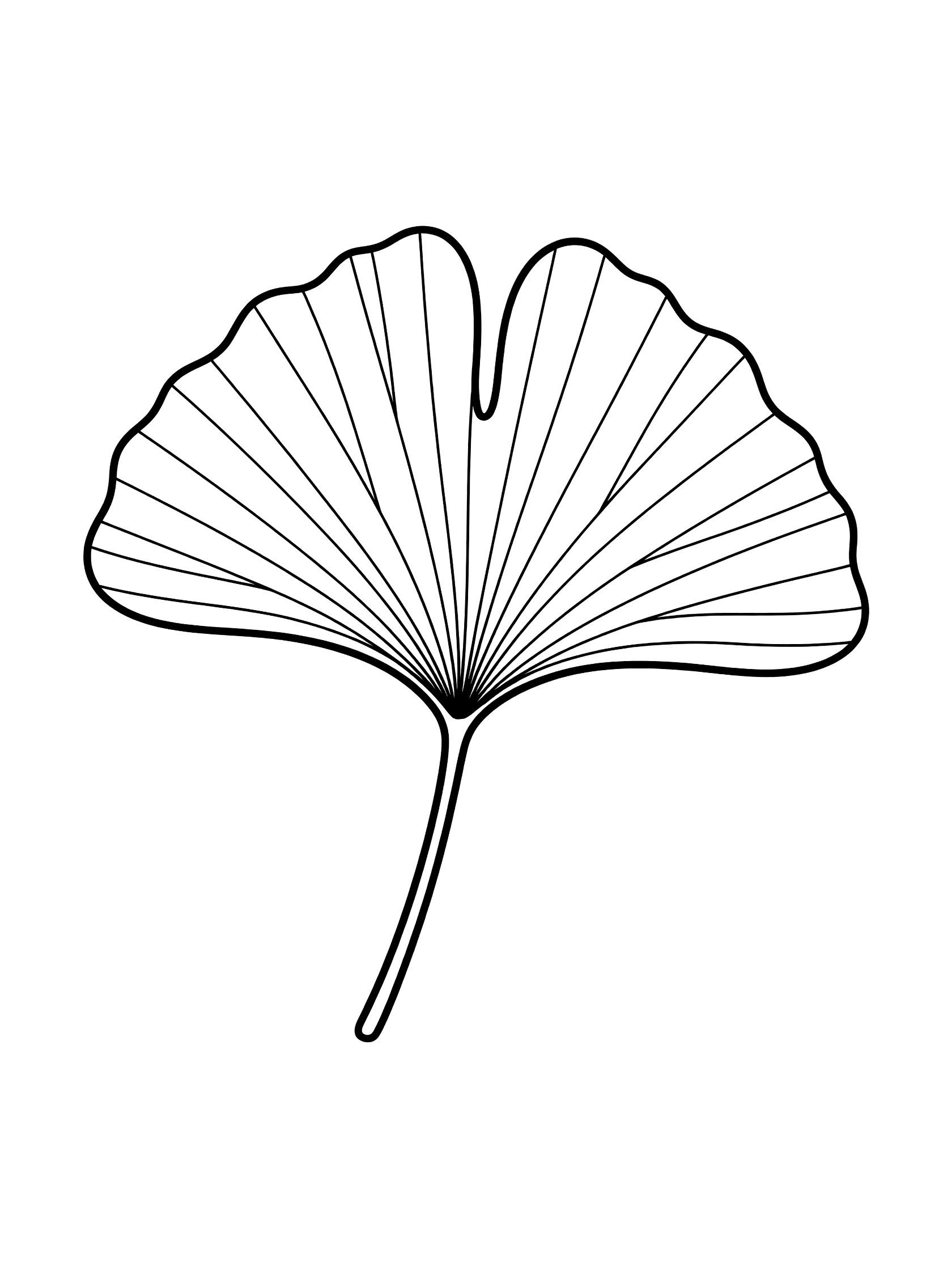Black and white line art of a single large ginkgo leaf with fan shape, veins, and stem on white background